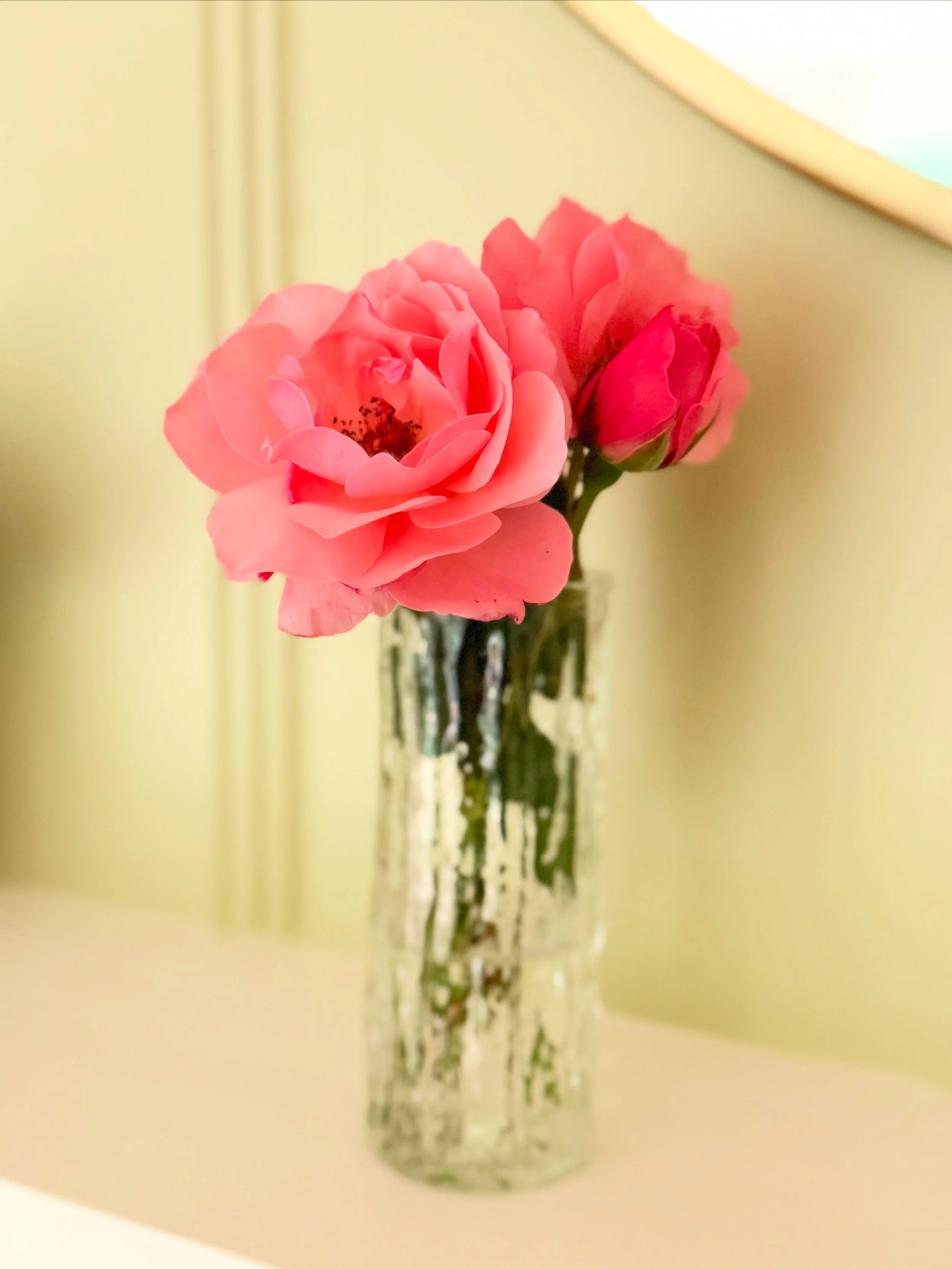 My dad grows roses. To know my dad is not to expect him to be a rose cultivator. 

There is nothing else I can connect to an appreciation of visual beauty, or the &ldquo;finer things of life&rdquo; in him. He&rsquo;s practical, pragmatic, frugal, and