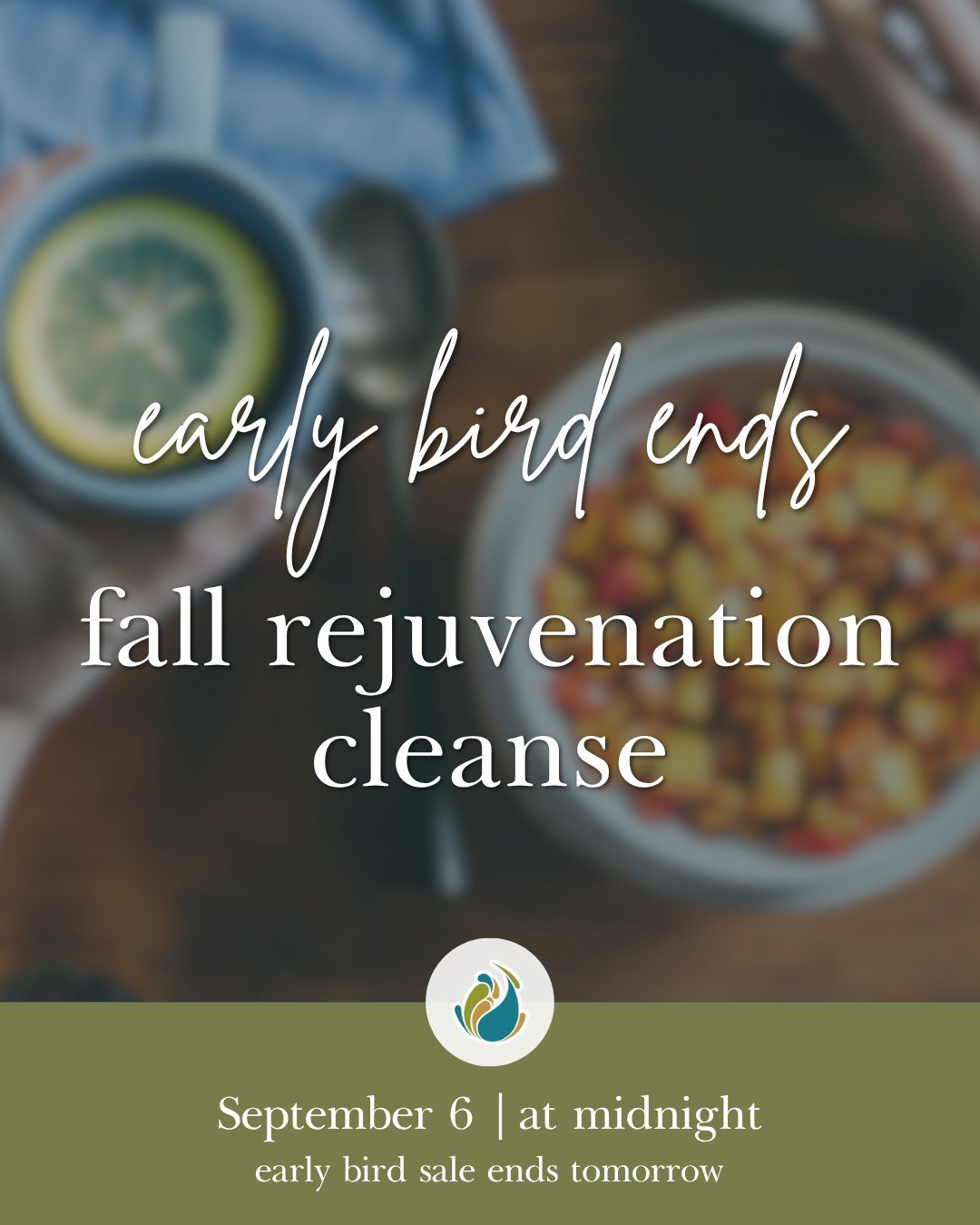 Early bird pricing ends tomorrow, September 6.
ㅤ
The 28-day Fall Rejuvenation Cleanse. Four phases, online modules, the October 17 mini retreat, an Ayurvedic cooking guide and recipes, a meal kit, recorded cleanse-themed Yoga practices, and a private