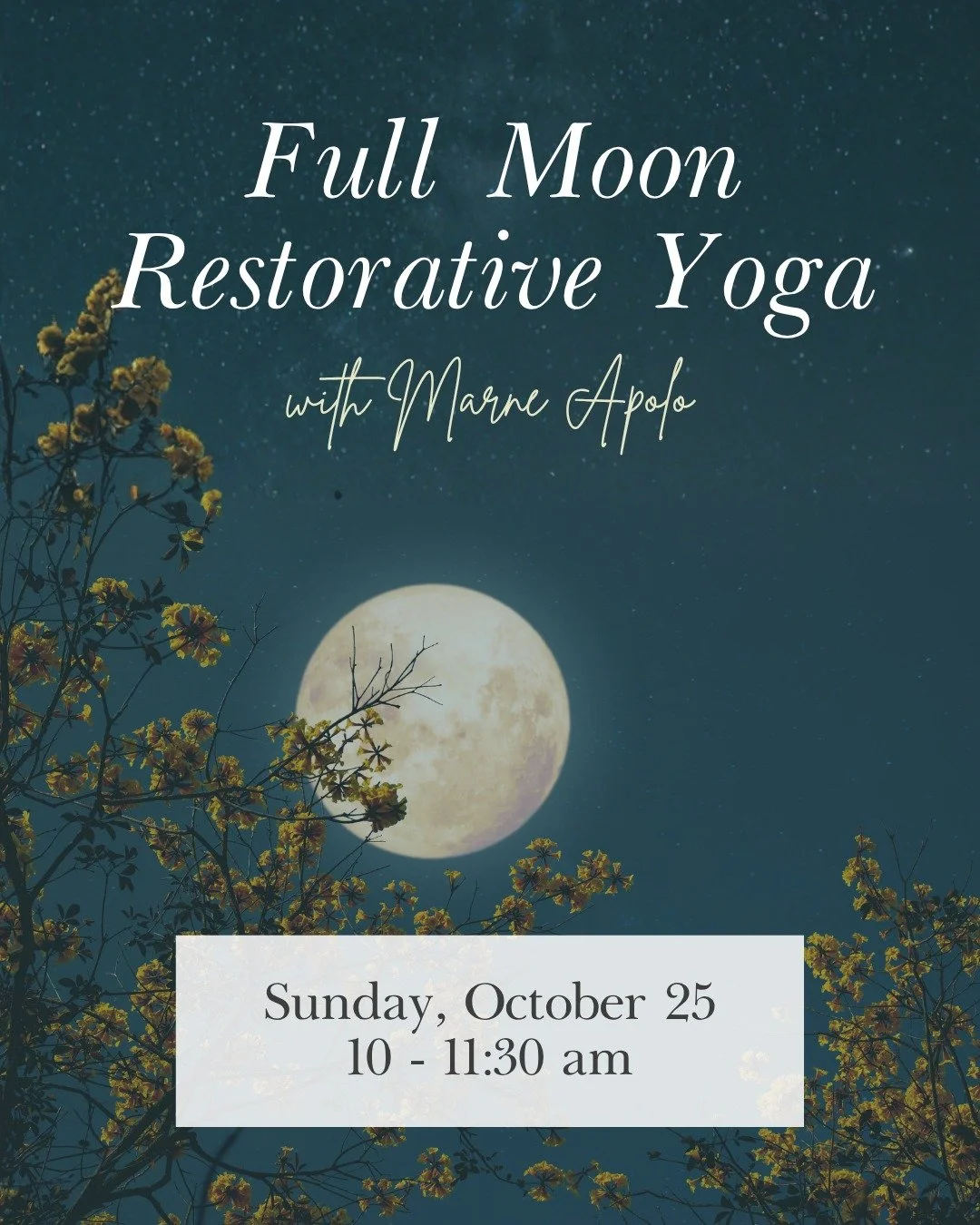 Save the date.
ㅤ
October's full moon is a Sunday morning of deep, supported rest. Restorative yoga with props, guided breathwork, visualization, and poetry. Nothing to push through.
ㅤ
Sunday, October 25
10:00 to 11:30 AM
Ayurvedic Wellness Center
ㅤ
S