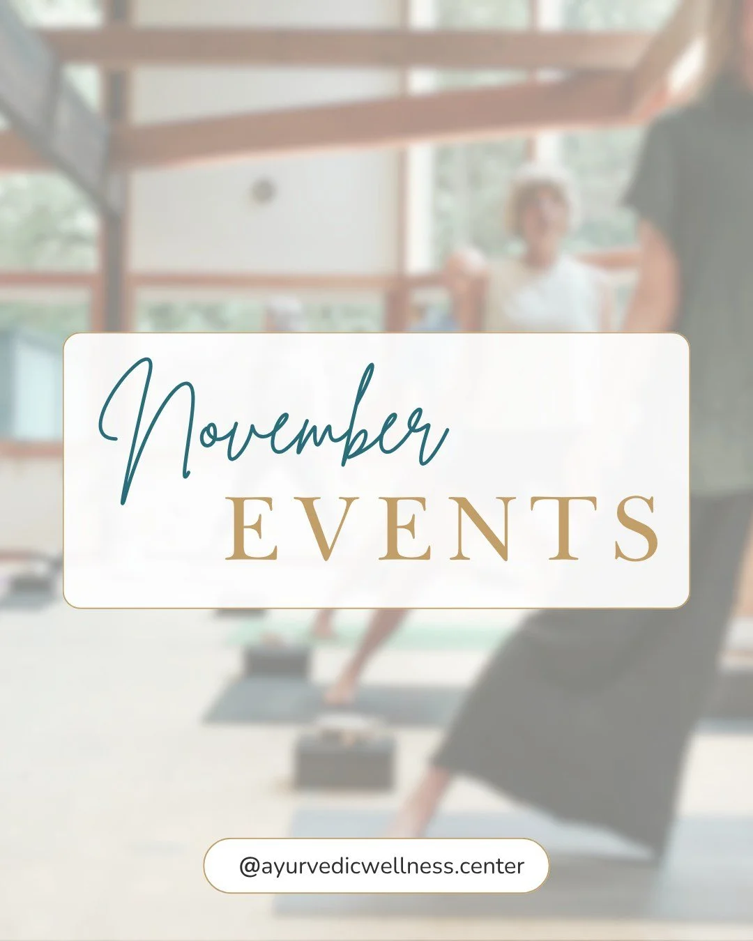 November is for slowing down.
ㅤ
Beginning Yoga starts November 4. Yoga Groove is back November 12. And Full Moon Restorative lands just before Thanksgiving on November 22.
ㅤ
Swipe for dates. Register through the link in bio.
ㅤ
#Ayurveda #KalamazooYog