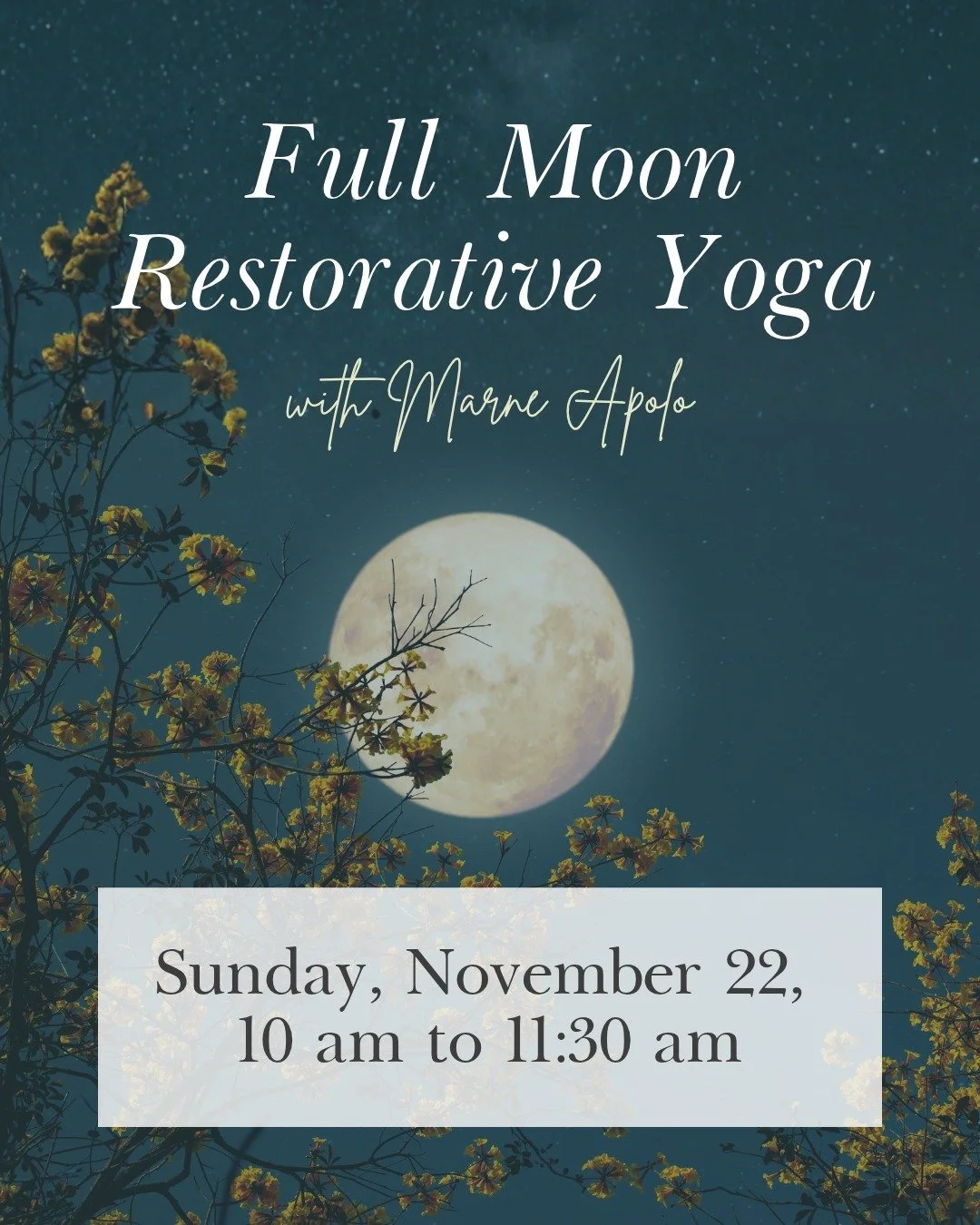 Mark your calendar. November's full moon falls right before the holiday rush.
ㅤ
Full Moon Restorative Yoga is 90 minutes of fully supported rest. Props, breathwork, visualization, and poetry. Nothing to do but receive.
ㅤ
Sunday, November 22
10:00 to 