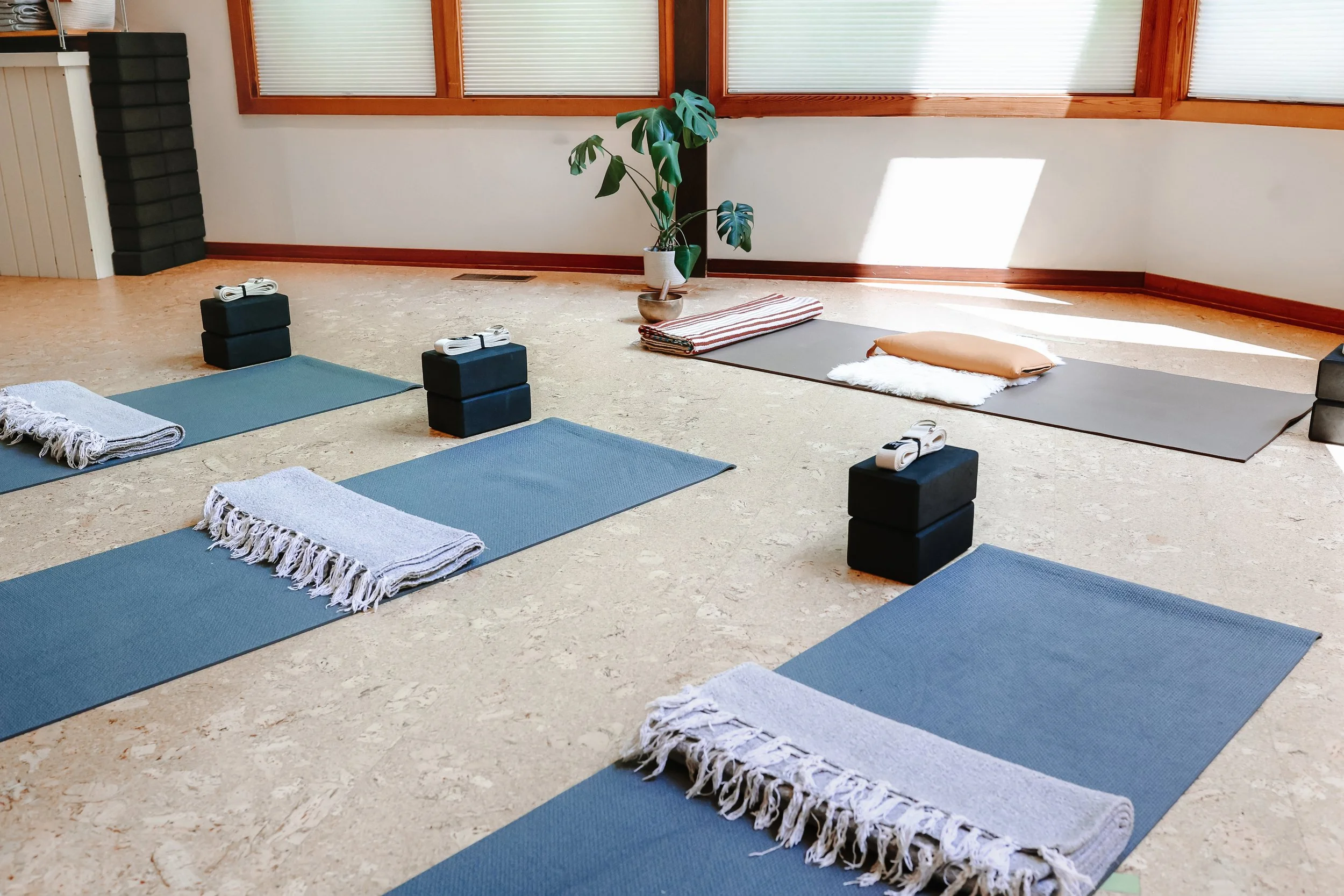 Iyengar-Informed Alignment Class Image.jpg