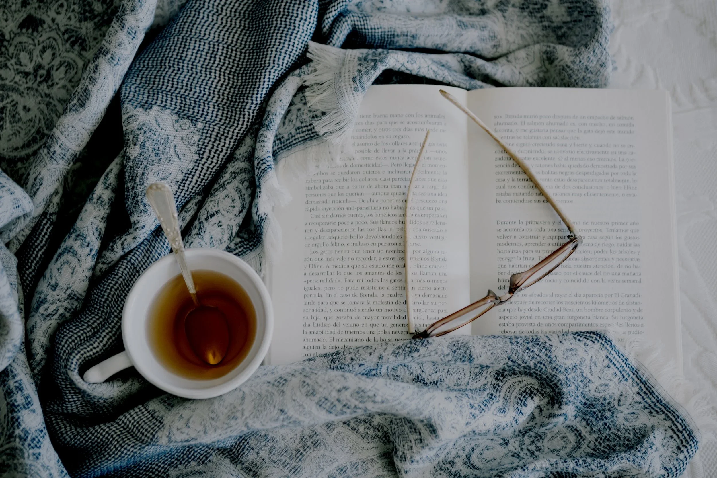 blanket-near-tea-opened-book.jpg