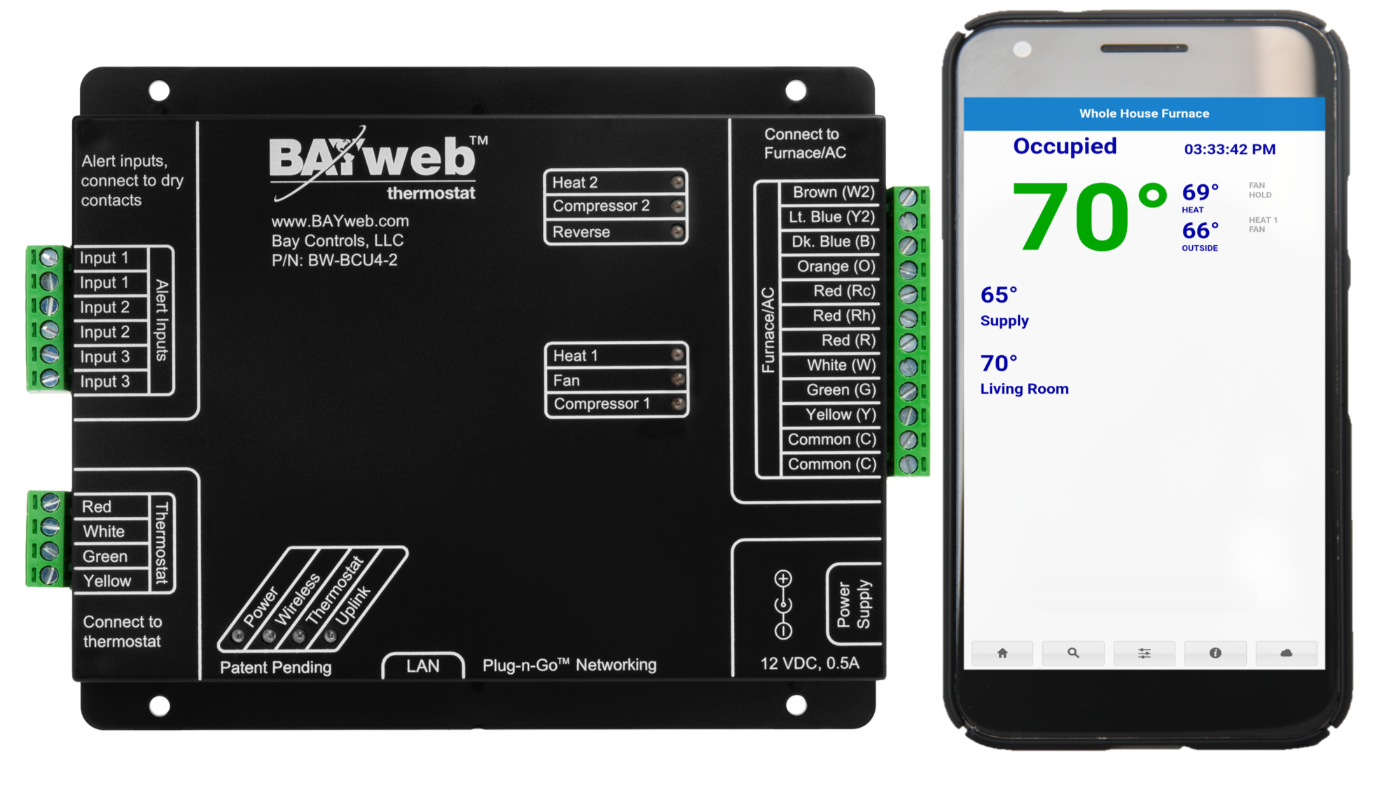 BAYweb