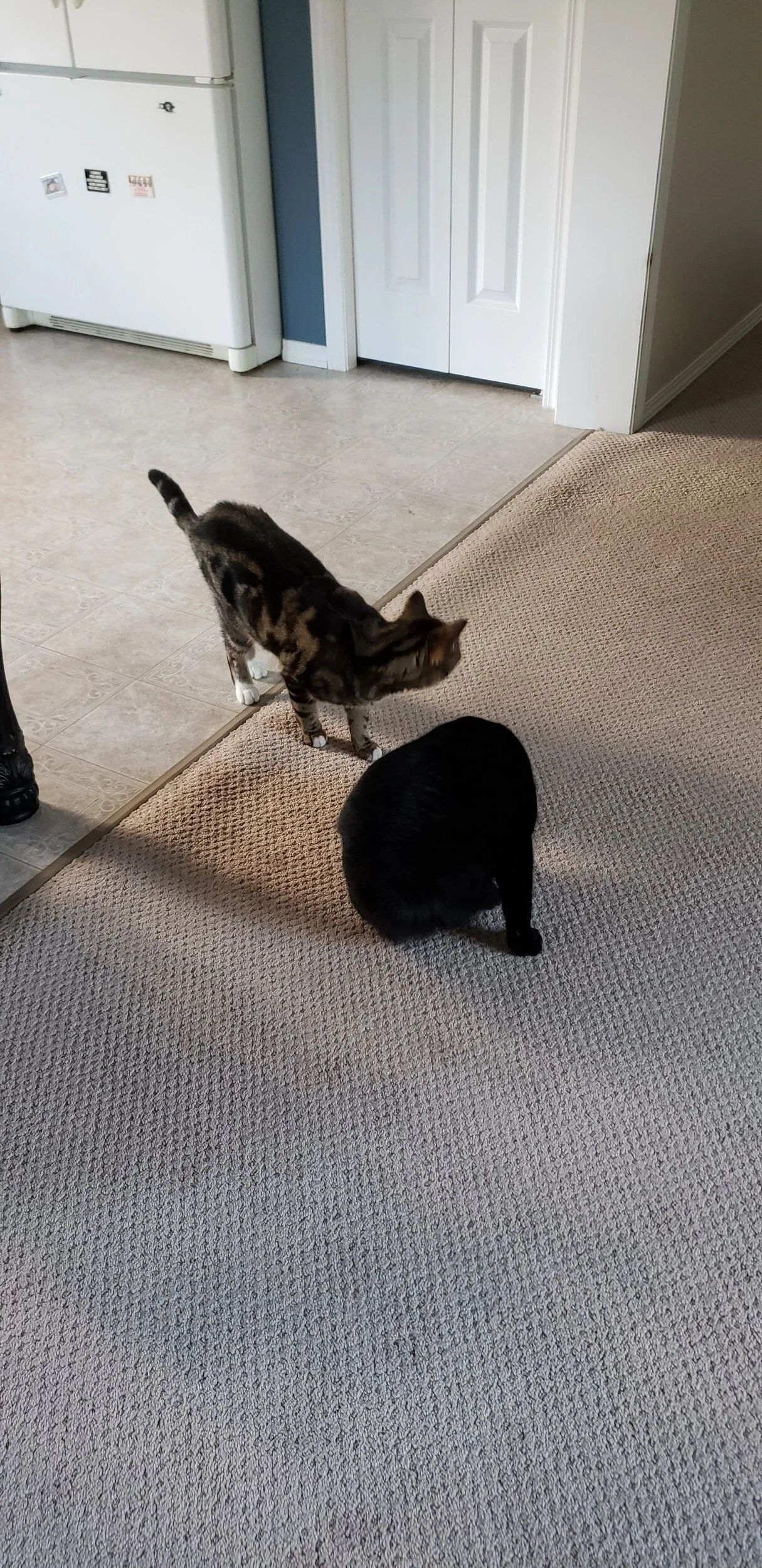 processed_20191002_085407.jpg
