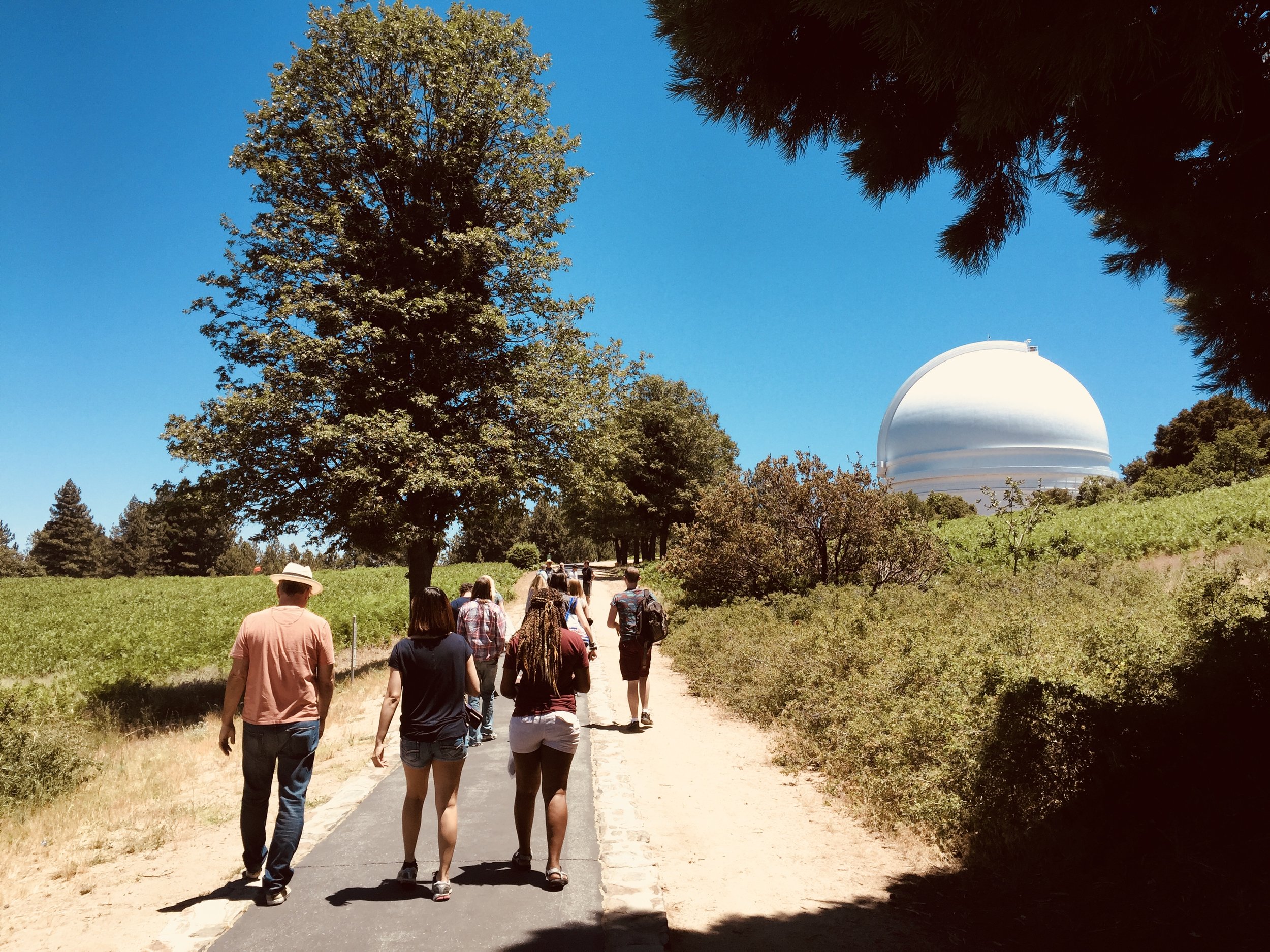 PFMW - Observatory Walk.jpeg