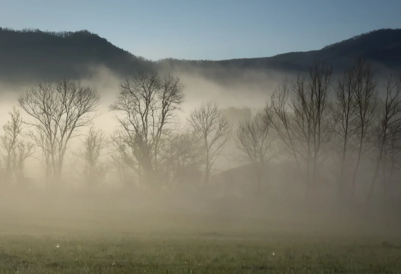 Fog