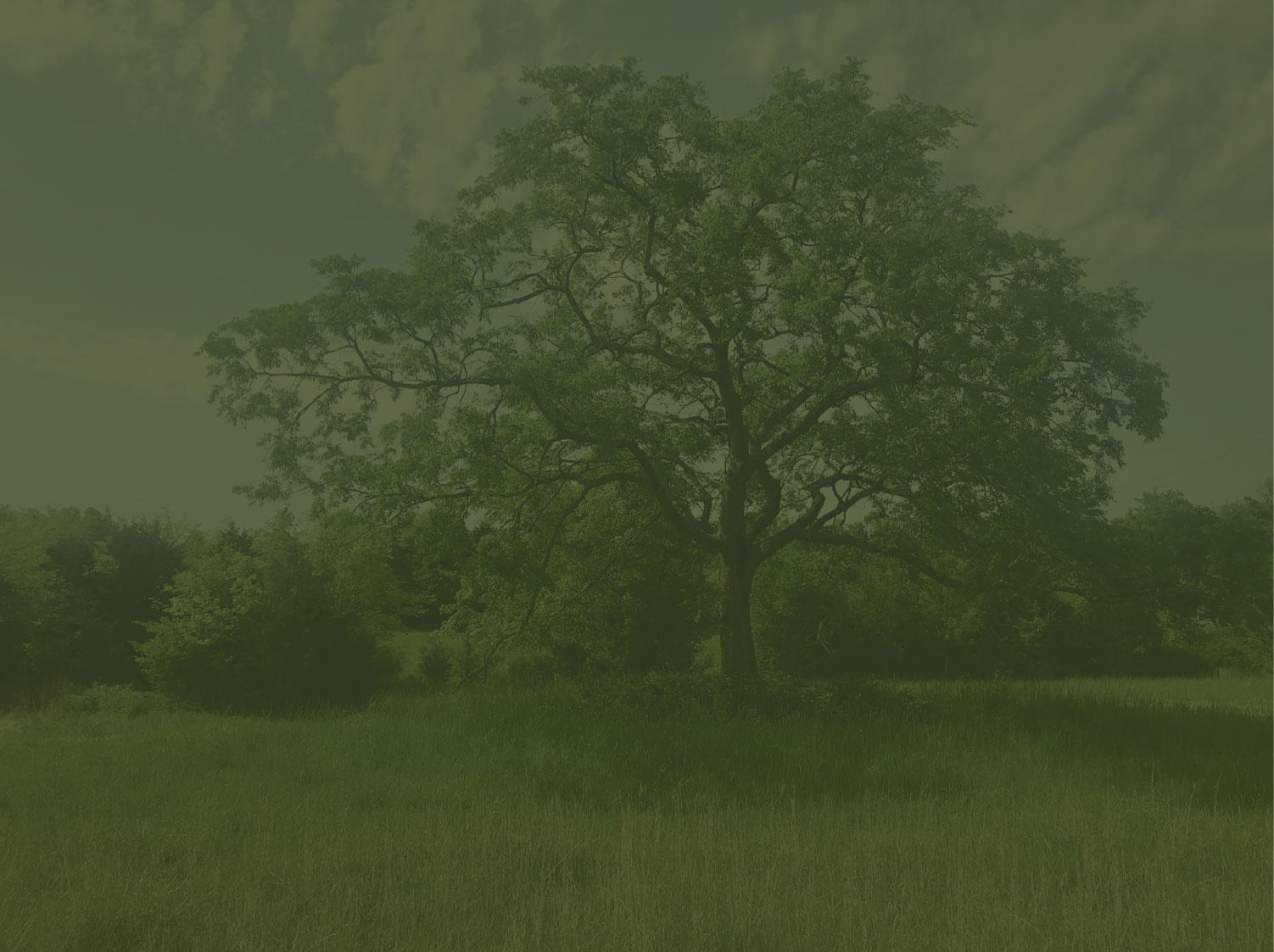 Section_3_Banner_75%2.jpg