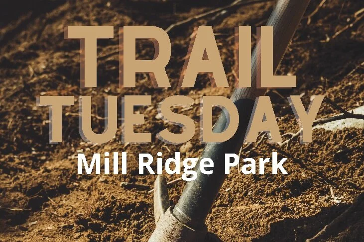 Trail Tuesdays at Mill Ridge Park
