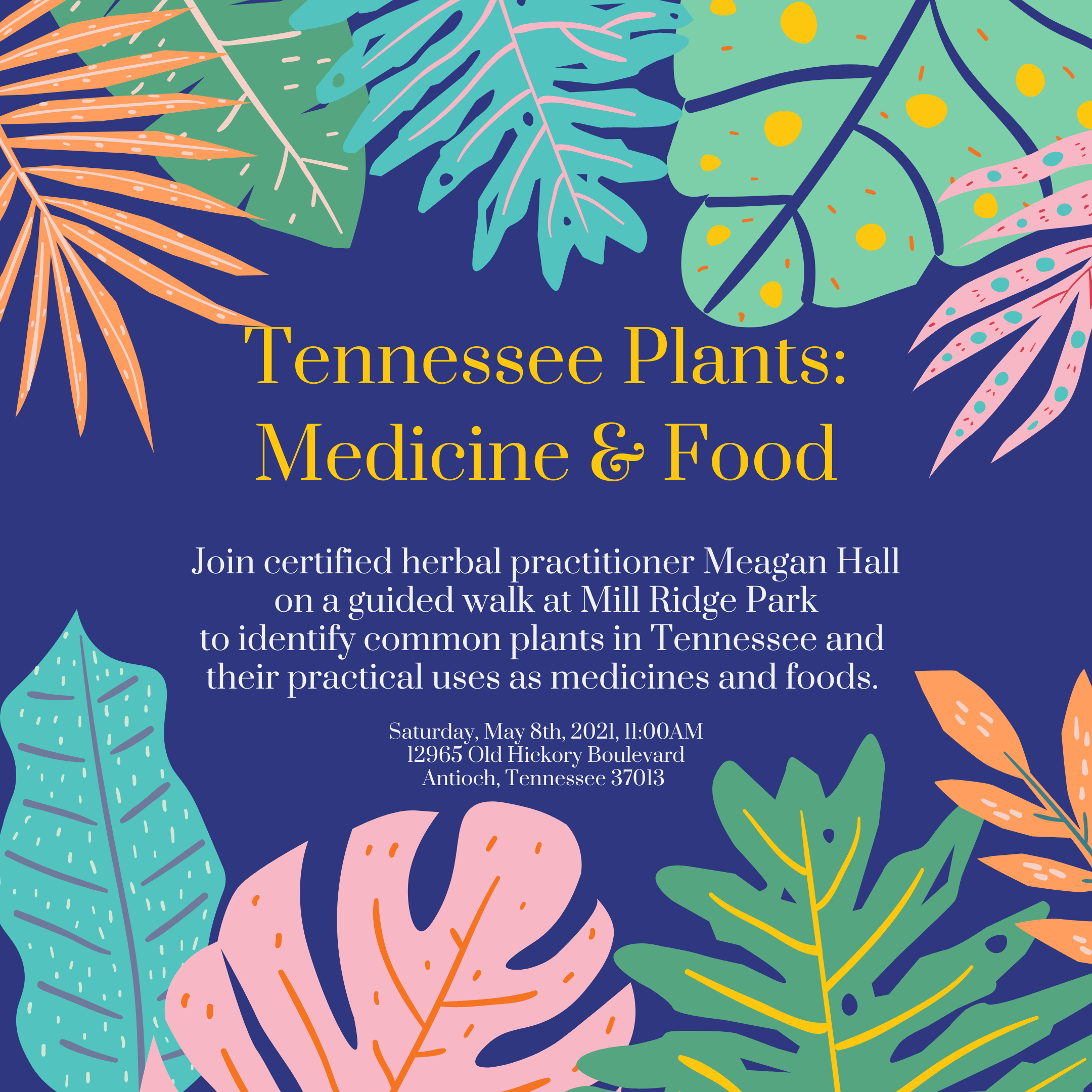 Medicinal Plant Walk with Meagan