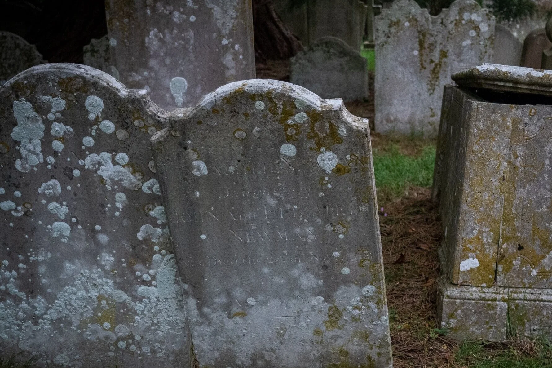 Park &amp; Cemetery Cleanup for History Preservation Month