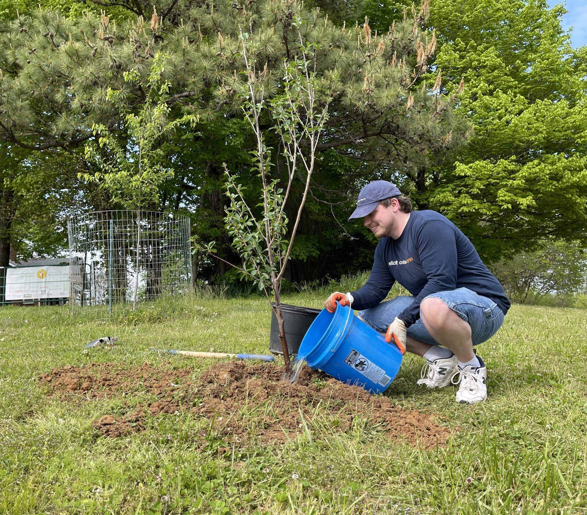  	Mill Ridge Park Stewardship Days