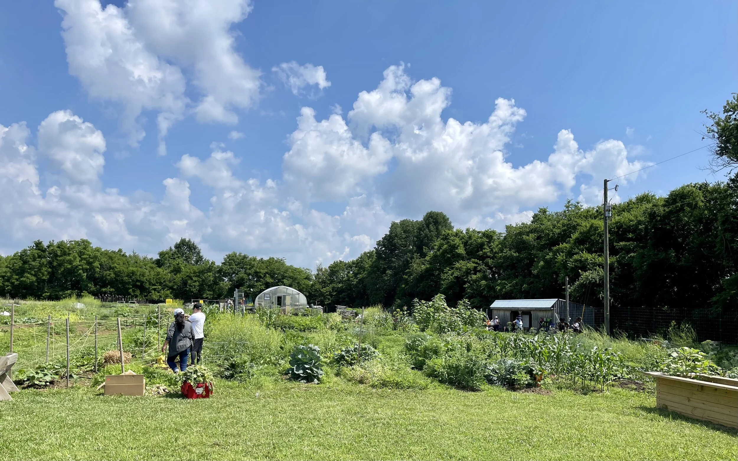 First Taste @ The Community Farm