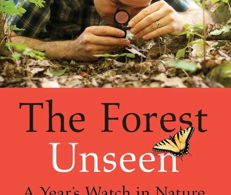 The Nature Watch