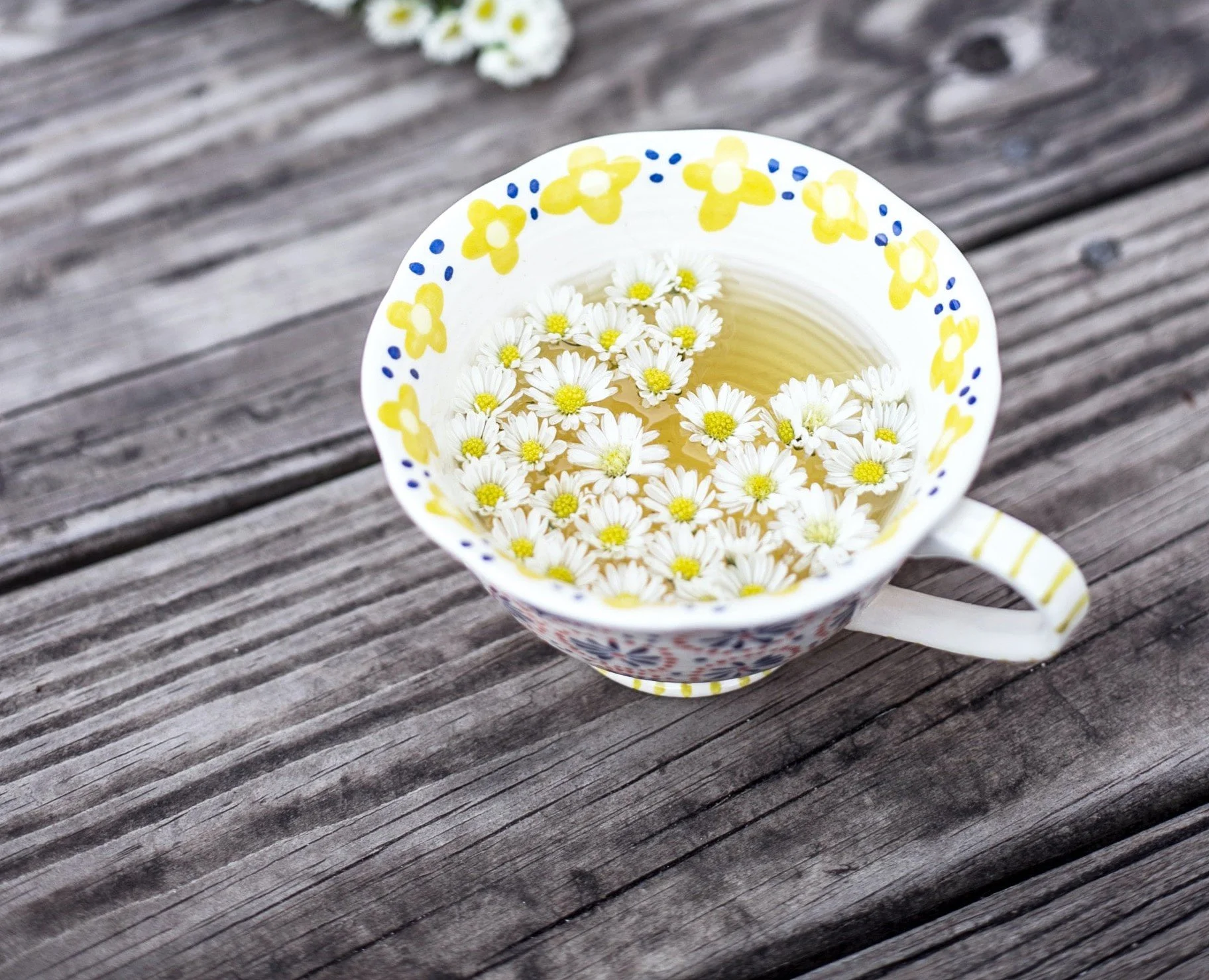 Herbal Tea &amp; Tincture Workshop 