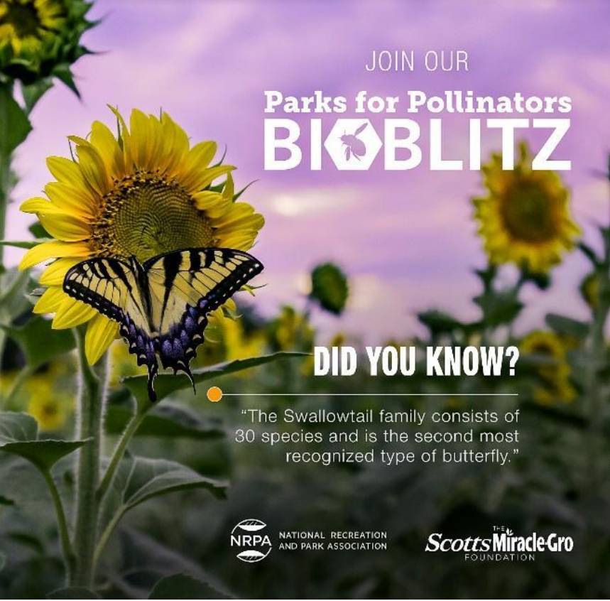 Parks for Pollinators BioBlitz 