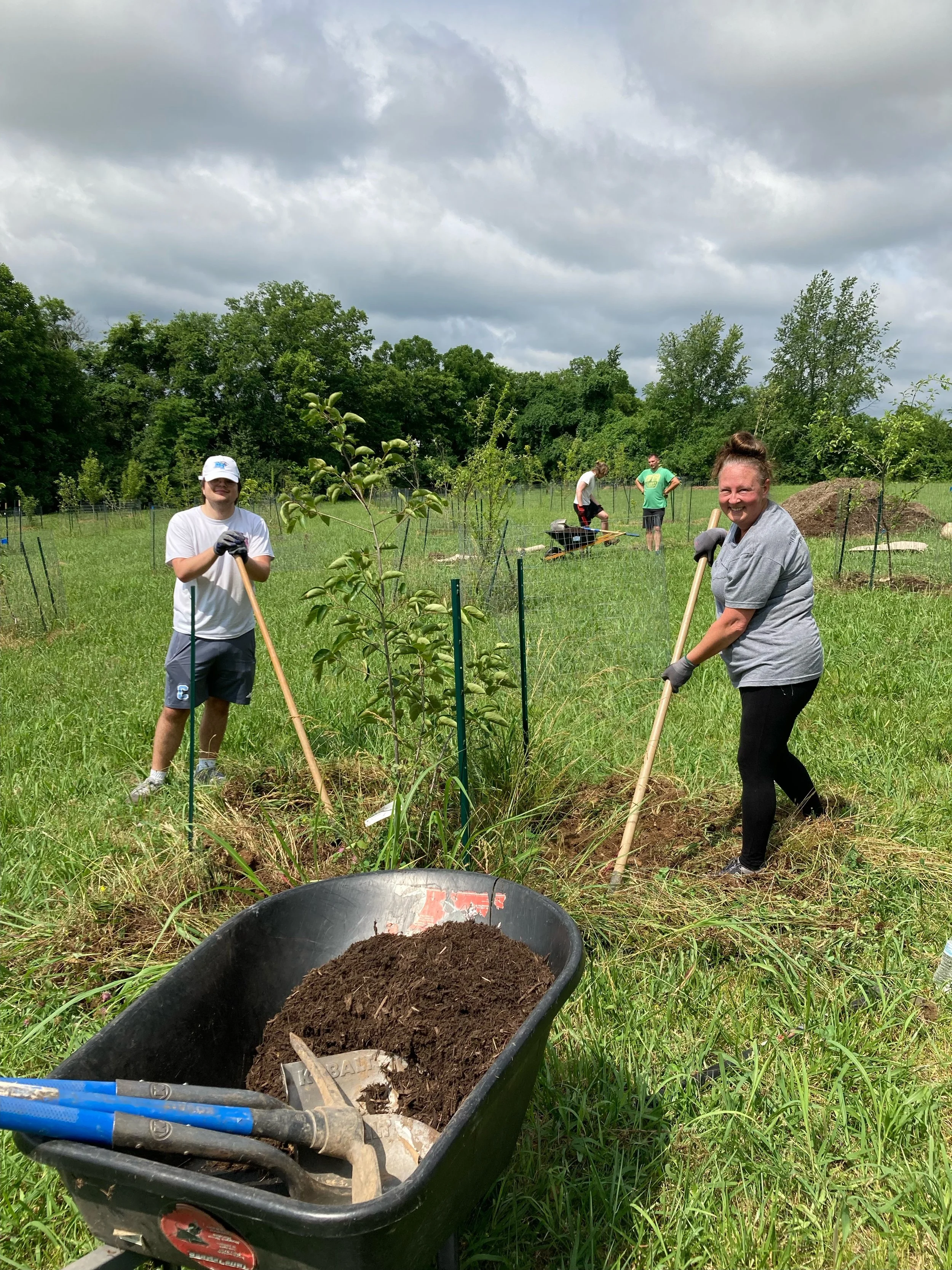Opt-Out(side) Park Beautification Day