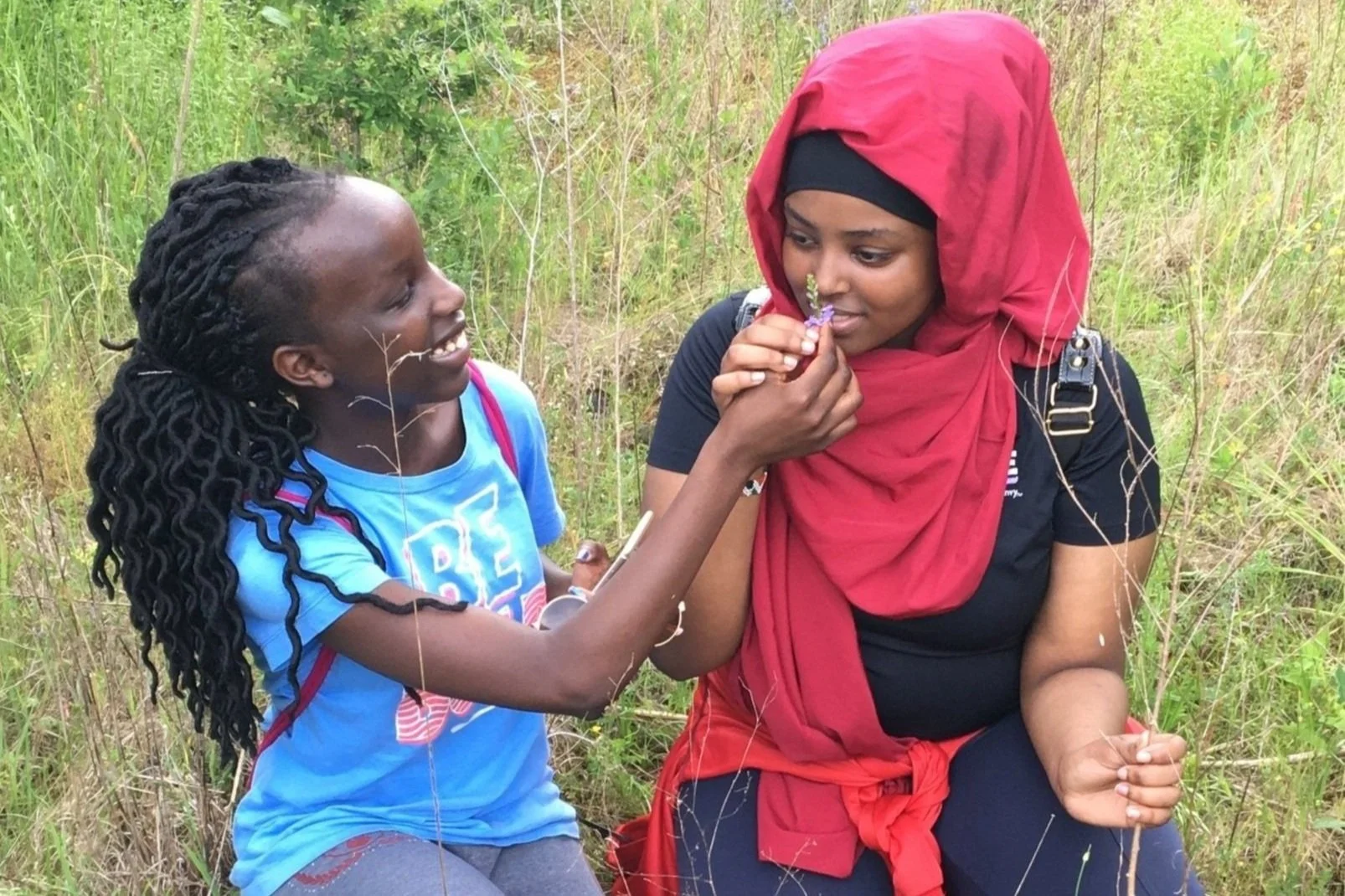 Scavenger Hunt: Wildflowers