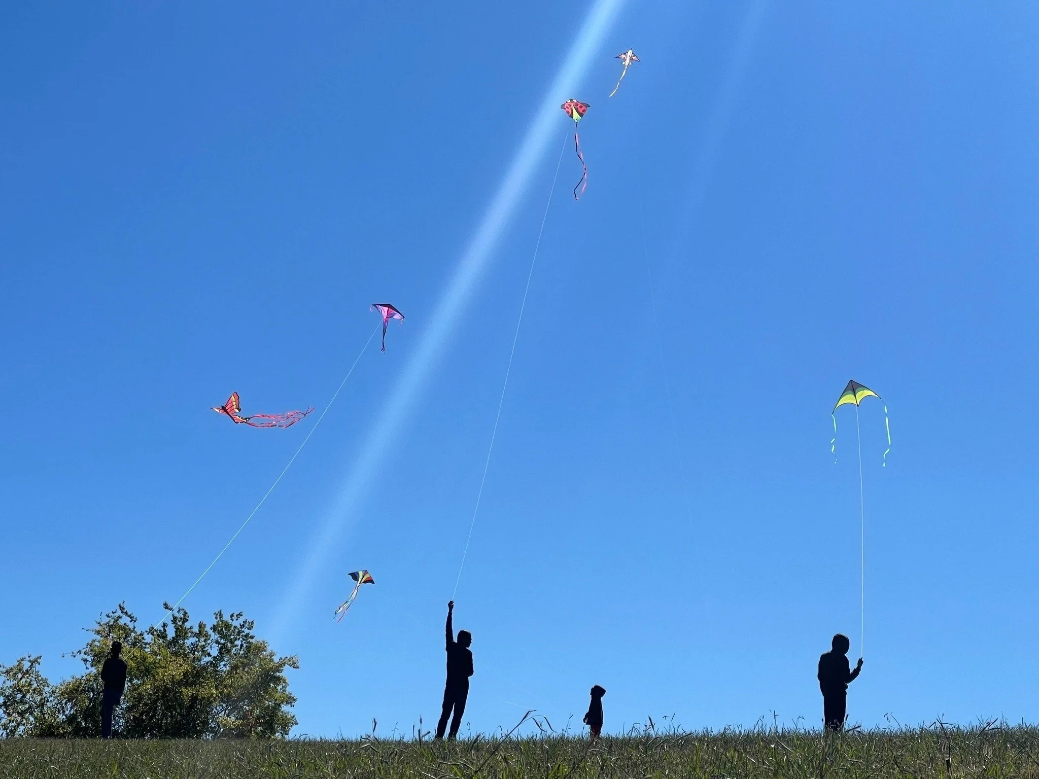 Kite Fest (CANCELLED DUE TO WEATHER) 