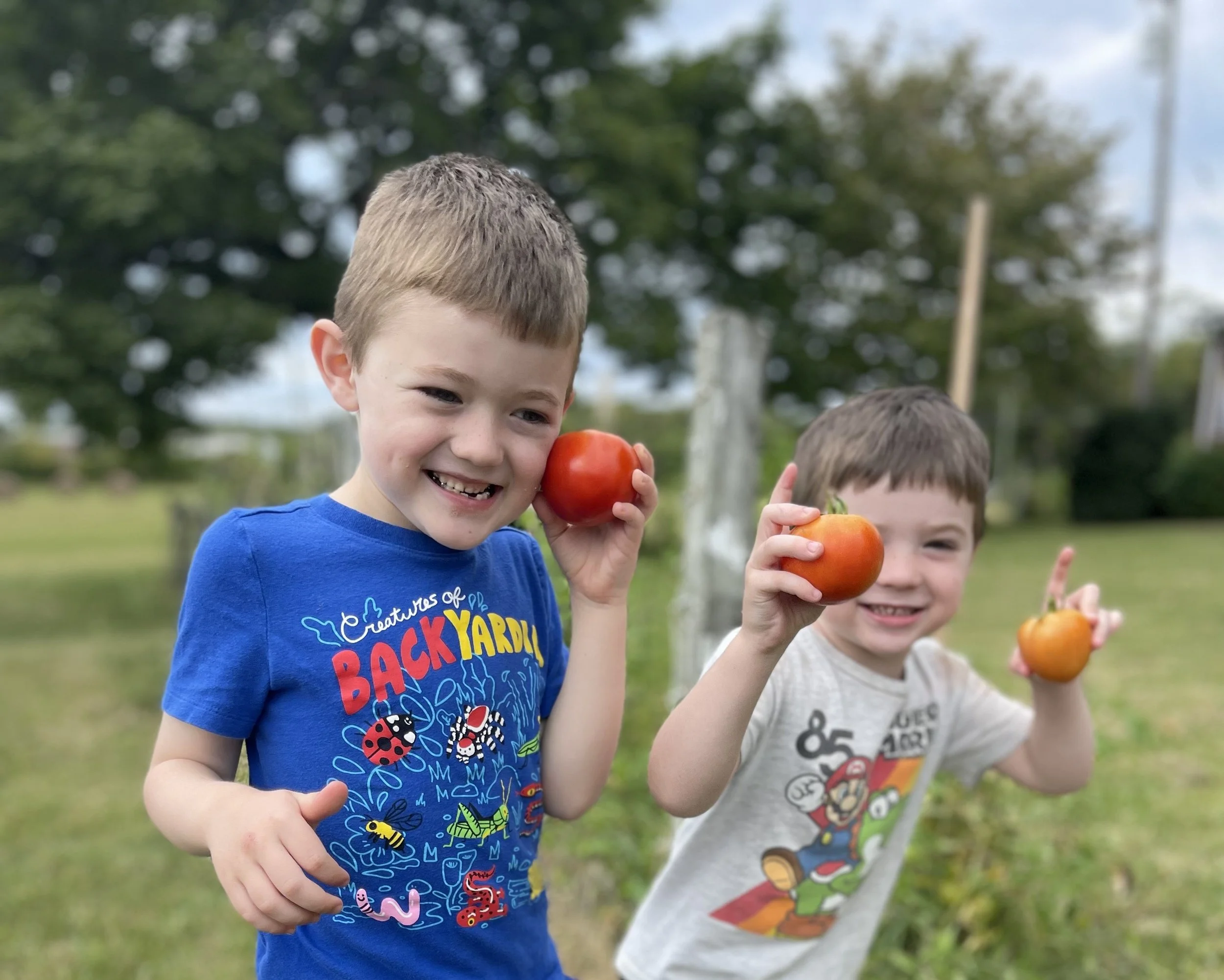 Plant the Seed Day Camp at Mill Ridge Park 