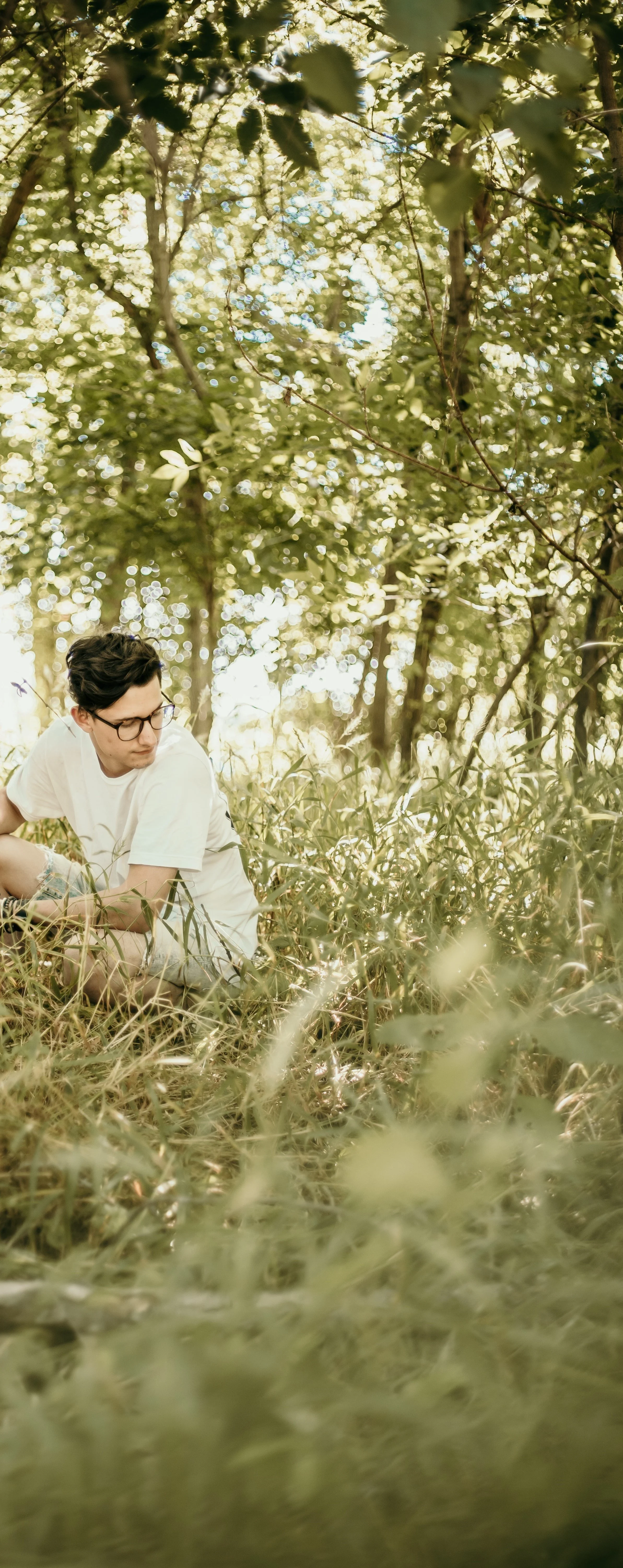 National Trails Day: Forest Bathing  