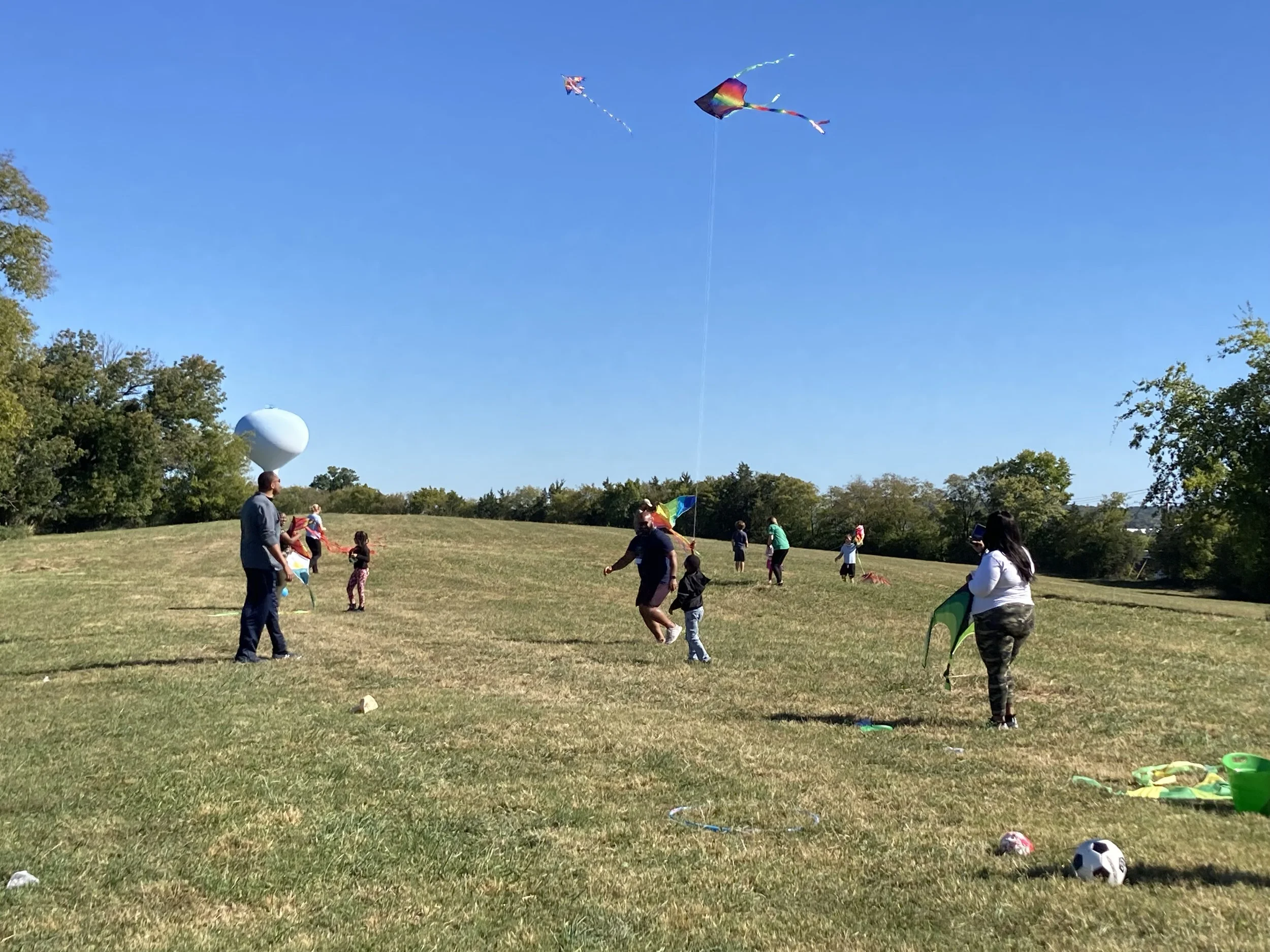 Volunteer at Mill Ridge Park!