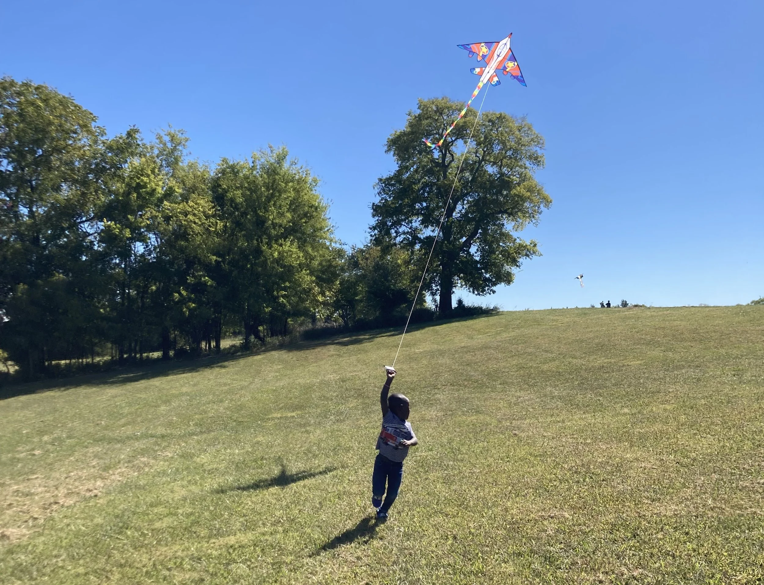 Kite Fest