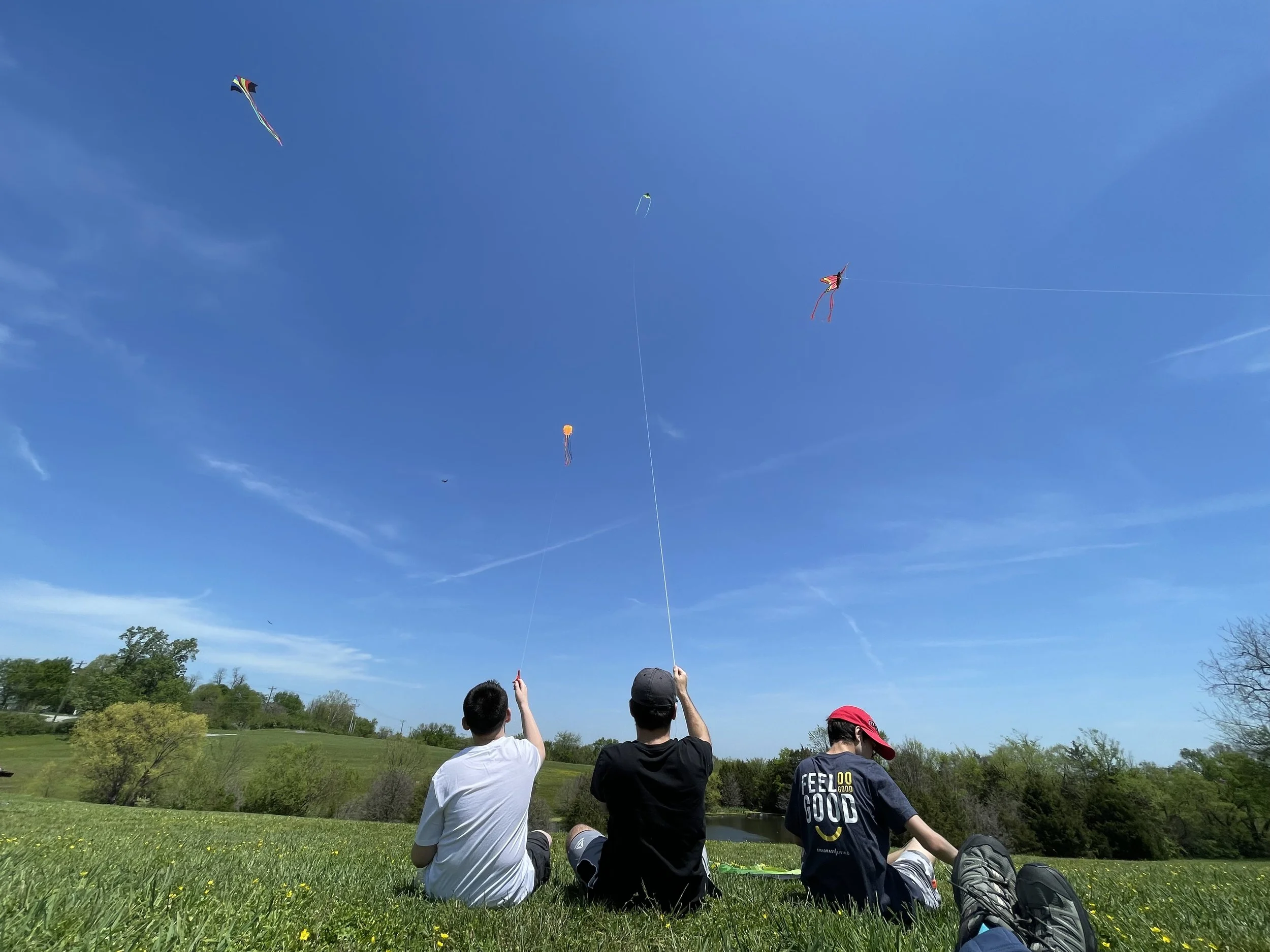 Kite Fest