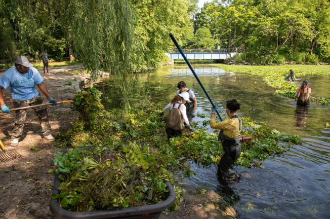 Water Walk