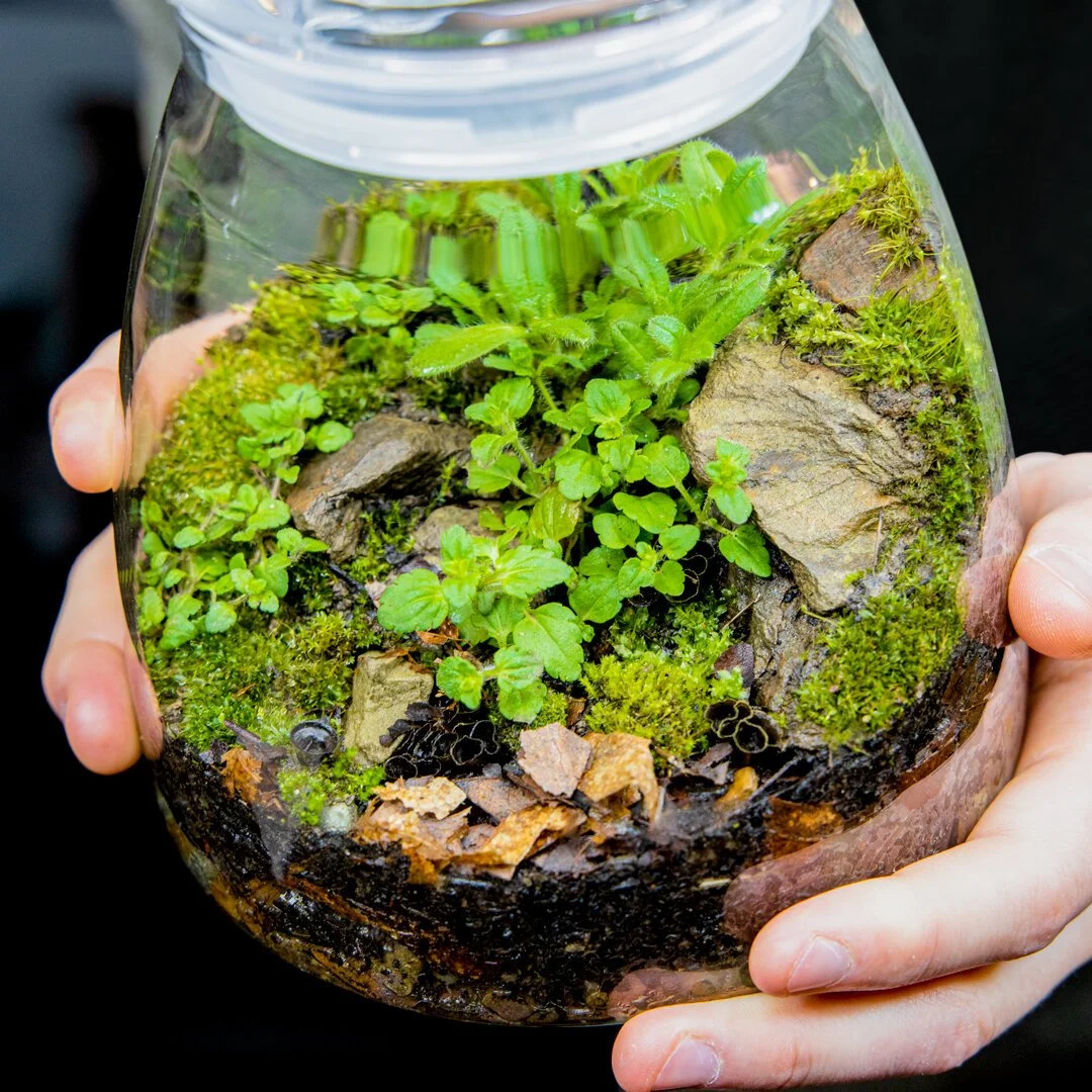 MY Outdoors: Park Terrariums with Friends