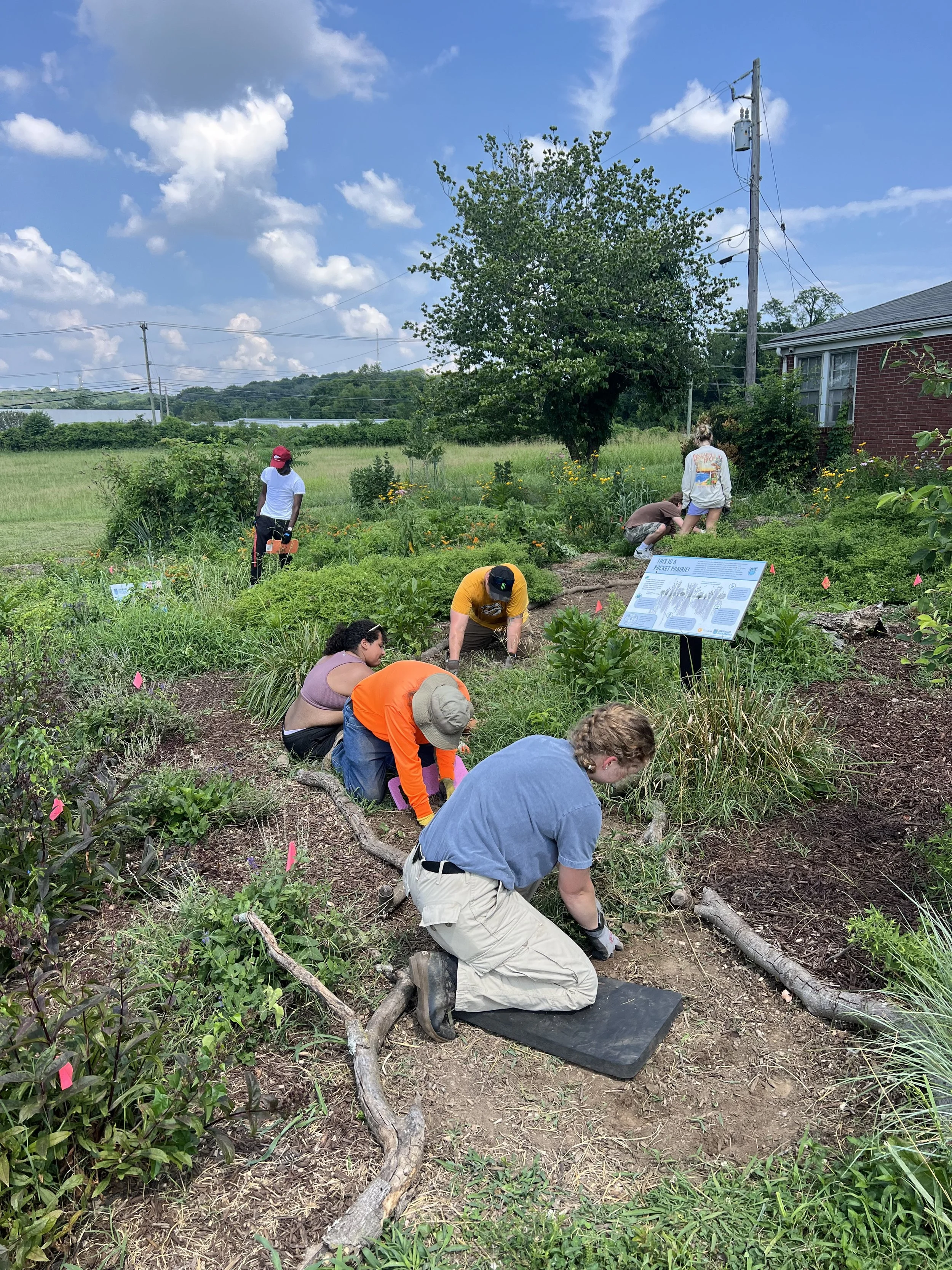 VOLUNTEER OPPORTUNITIES AND SCHEDULE
