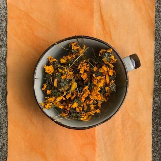 Natural Dye Workshop   