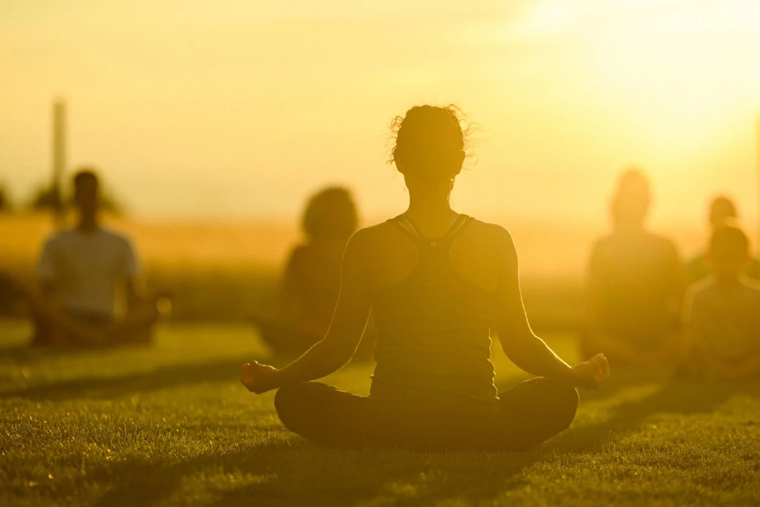  Mending &amp; meditation at Mill Ridge Park 