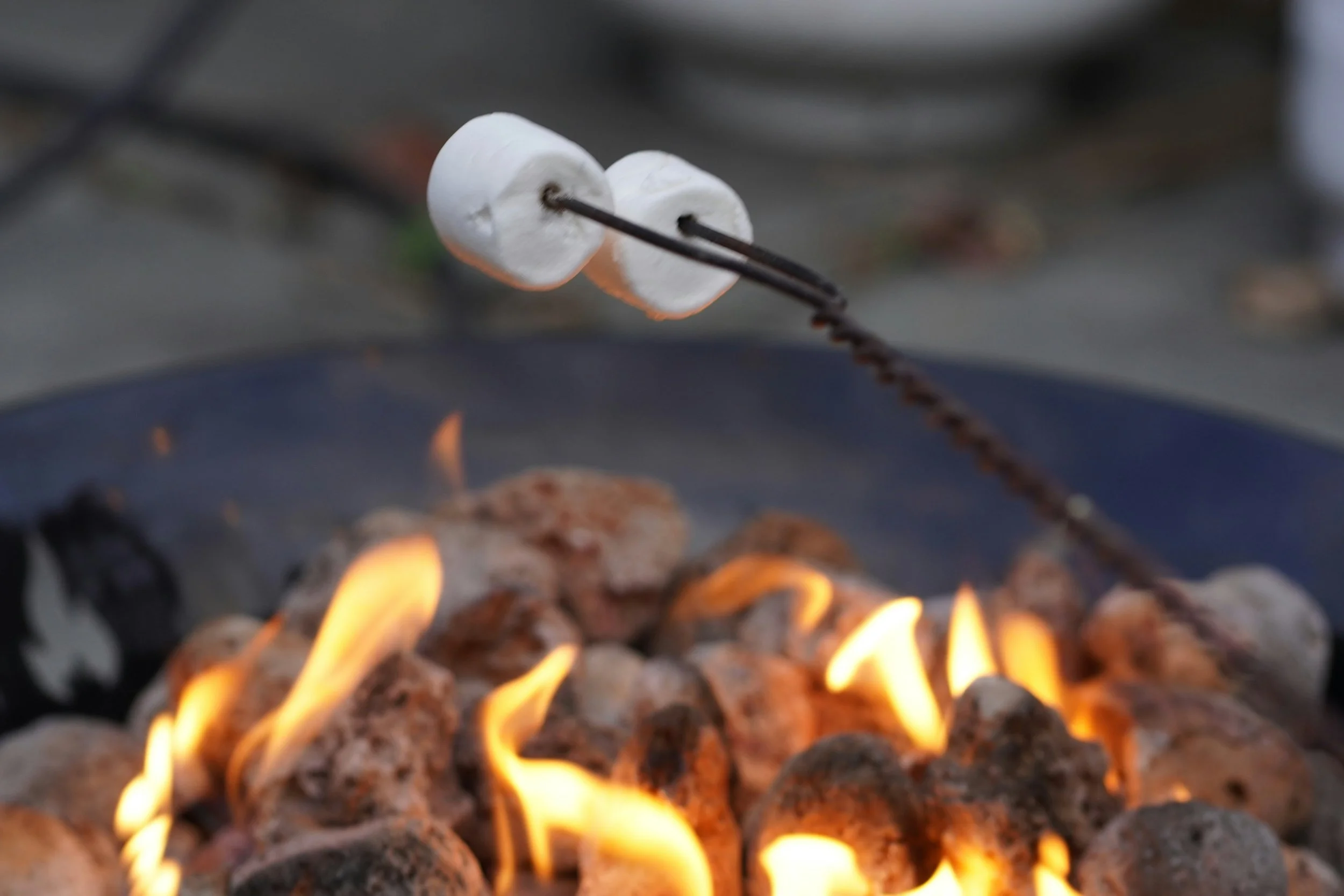 Marshmallow Roast