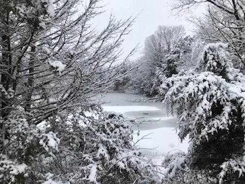 Winter Weather Wander (stay tuned for the date and time)