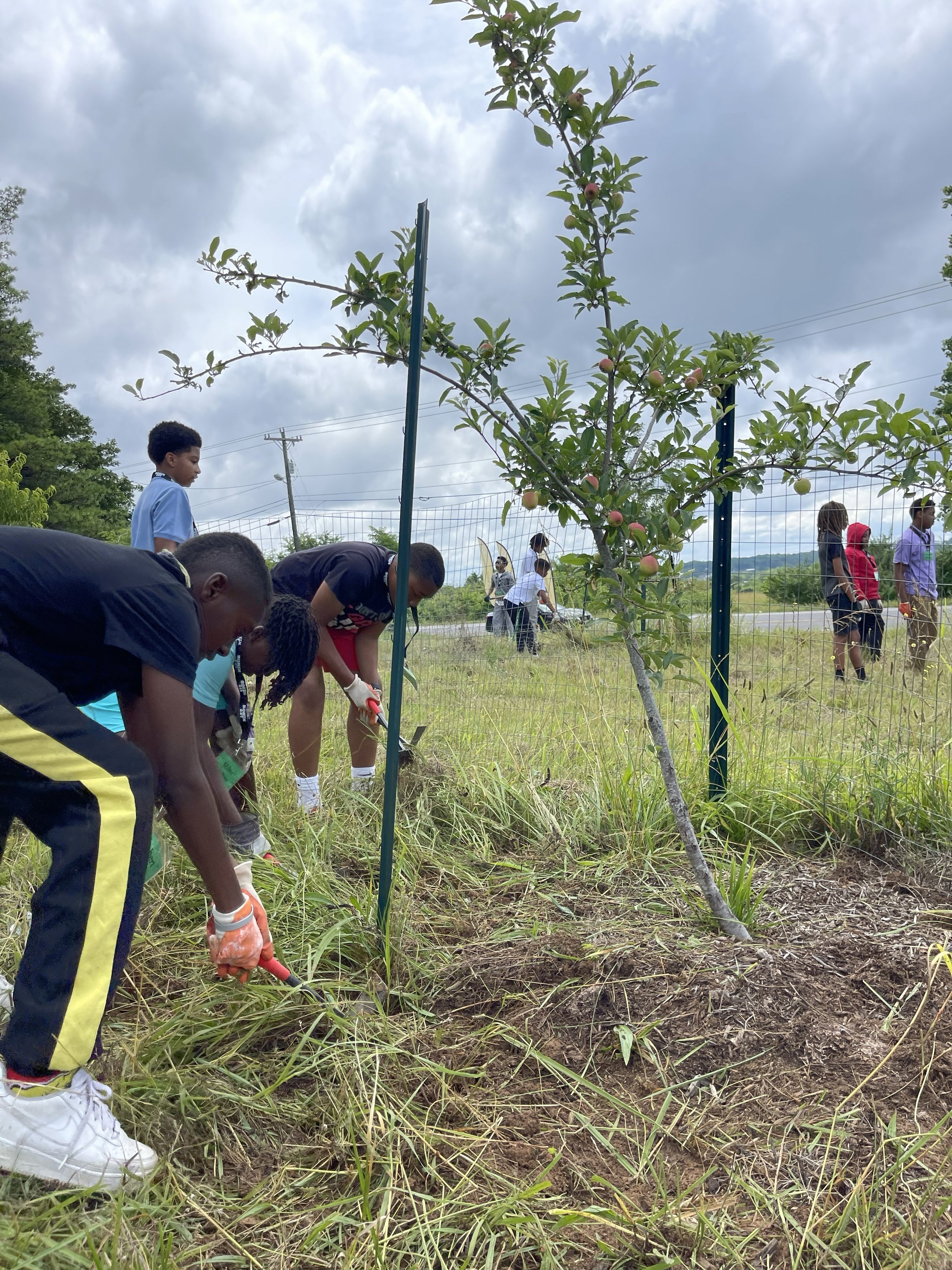 Orchard Planting Party with The Nashville Food Project 