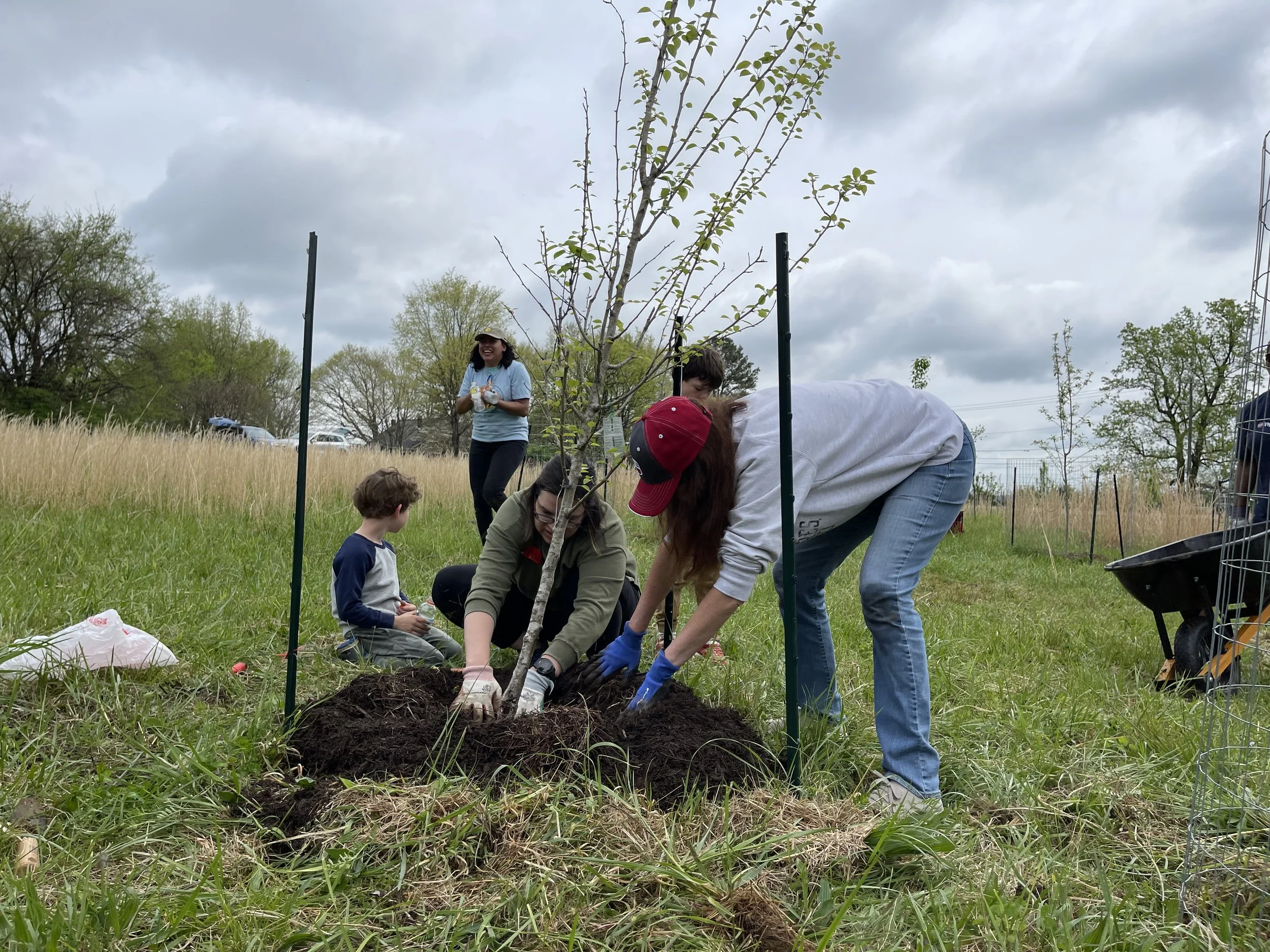 Orchard Planting Party with The Nashville Food Project
