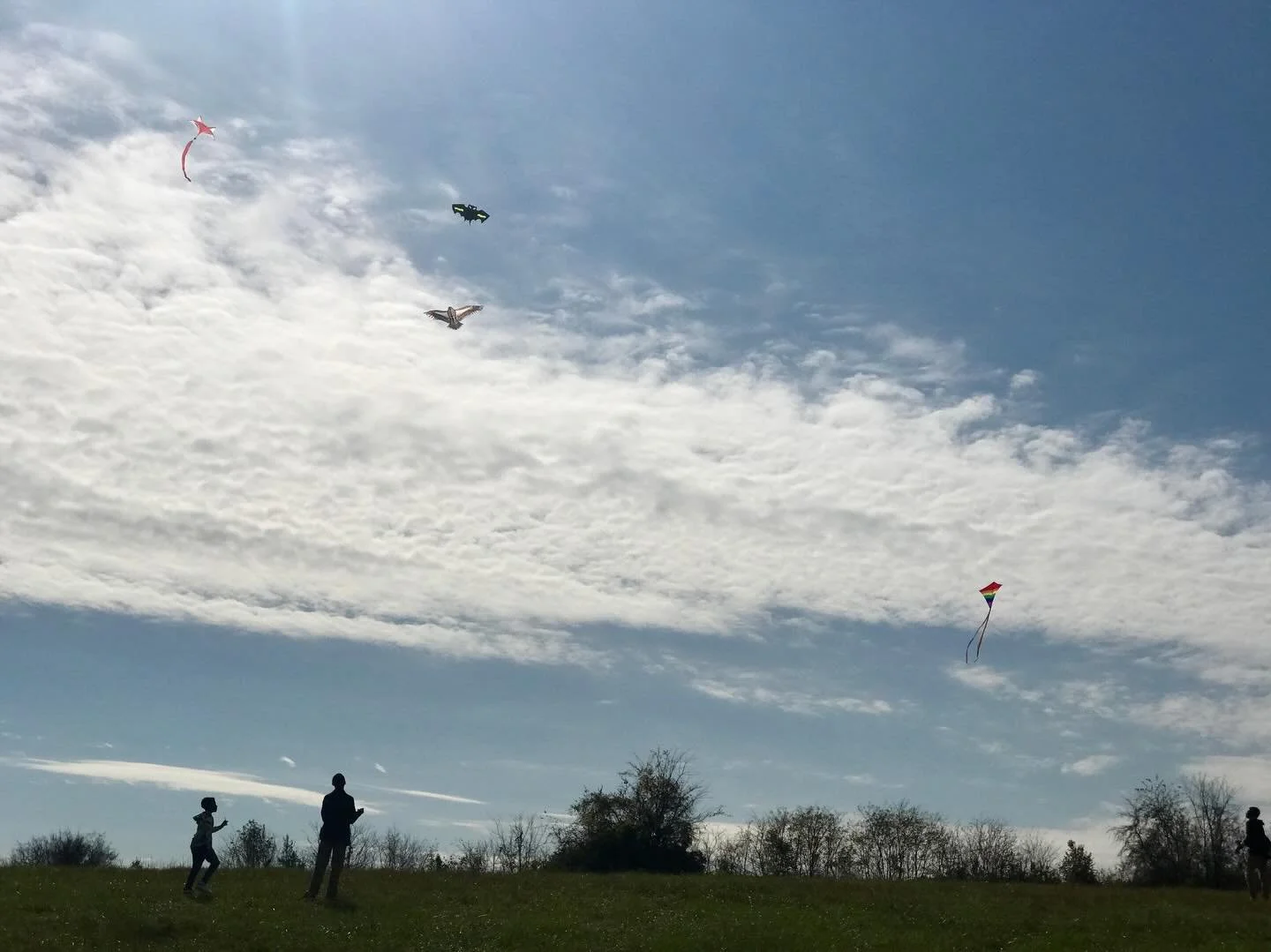 🪁 Today is National Kite Day! Since November 8, 2018 (pictured in the field where the great lawn, playground and basketball court are now) we&rsquo;ve been bringing our community together at Mill Ridge Park to lift spirits and kites into the sky. Fr