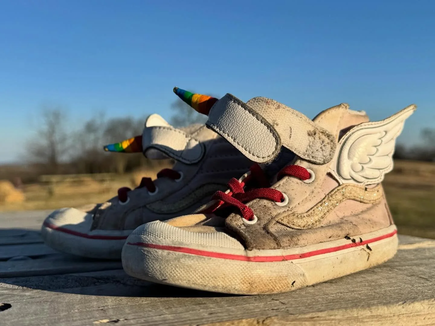 A little treasure we found while doing pre-spring park cleanup. 🪽👟

To the tiny adventurer who left these behind: we miss you and can&rsquo;t wait to be back under blue skies together soon. In the meantime, we&rsquo;re caring for the park, keeping 