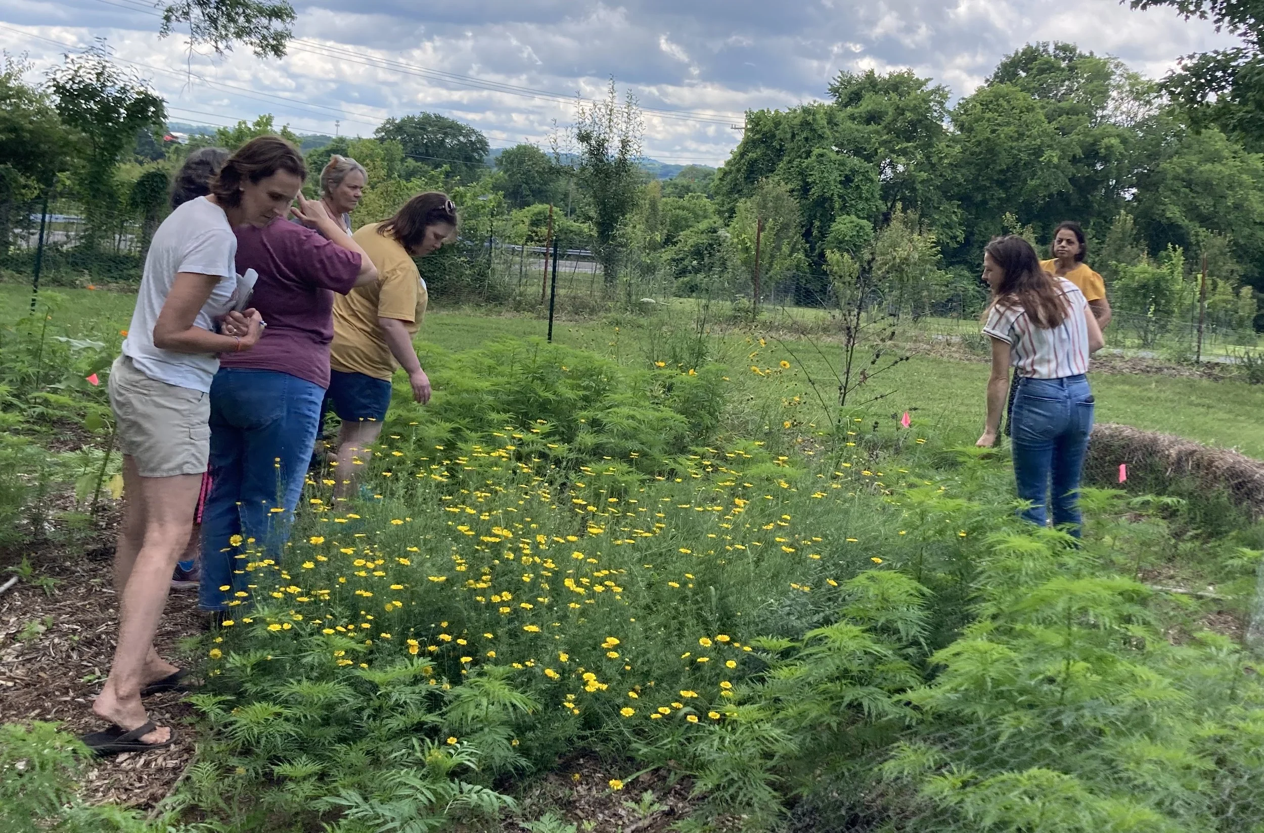 Swap, Craft &amp; Sow