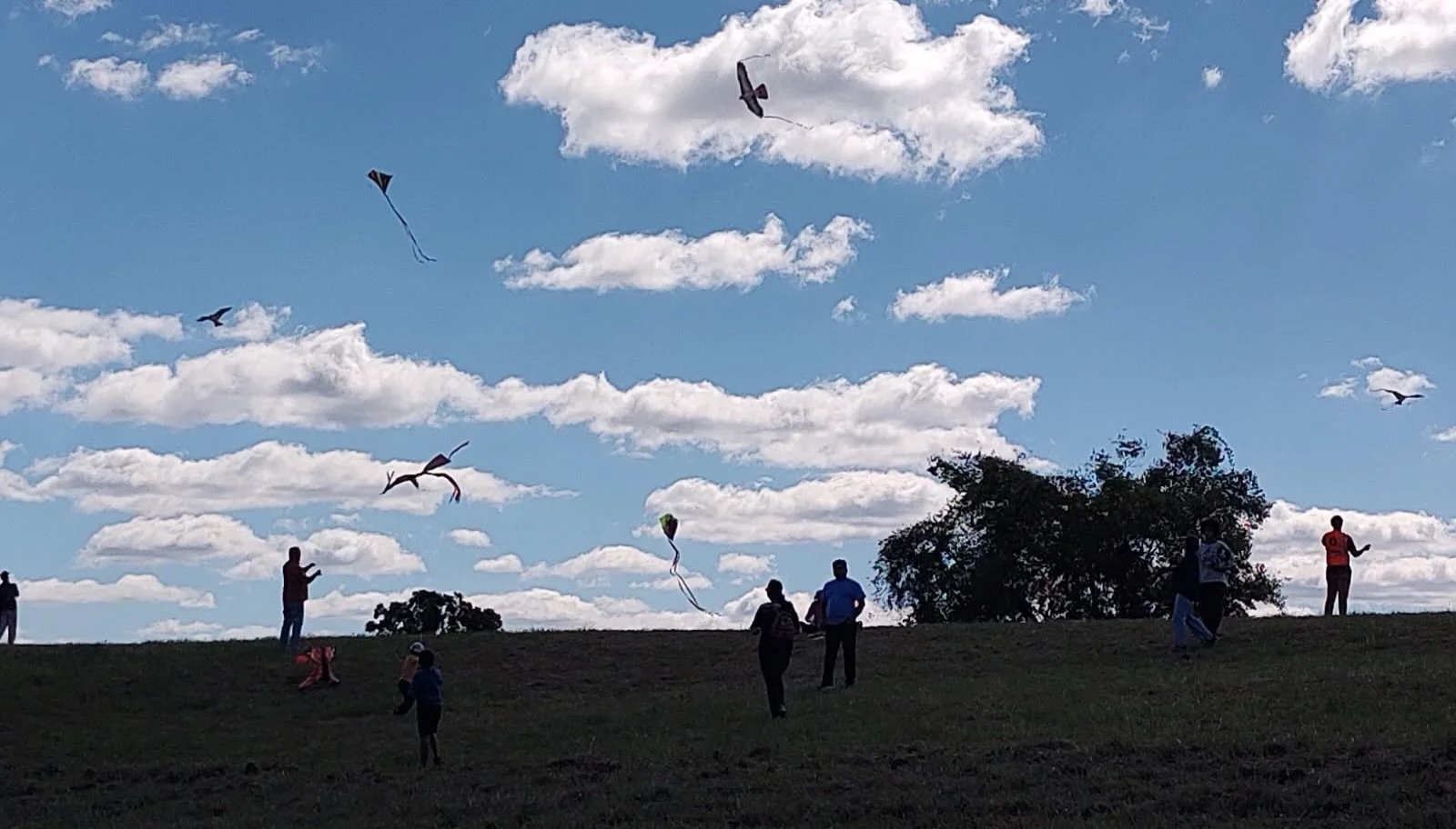 🪁 Fall Kite Fest was a breeze!

Thanks to all the friends, neighbors, families, and volunteers who joined us at Mill Ridge Park to fly kites, play, and spend time together. And a special thank-you to Nashville Auto Masters for sponsoring Kite Fest a