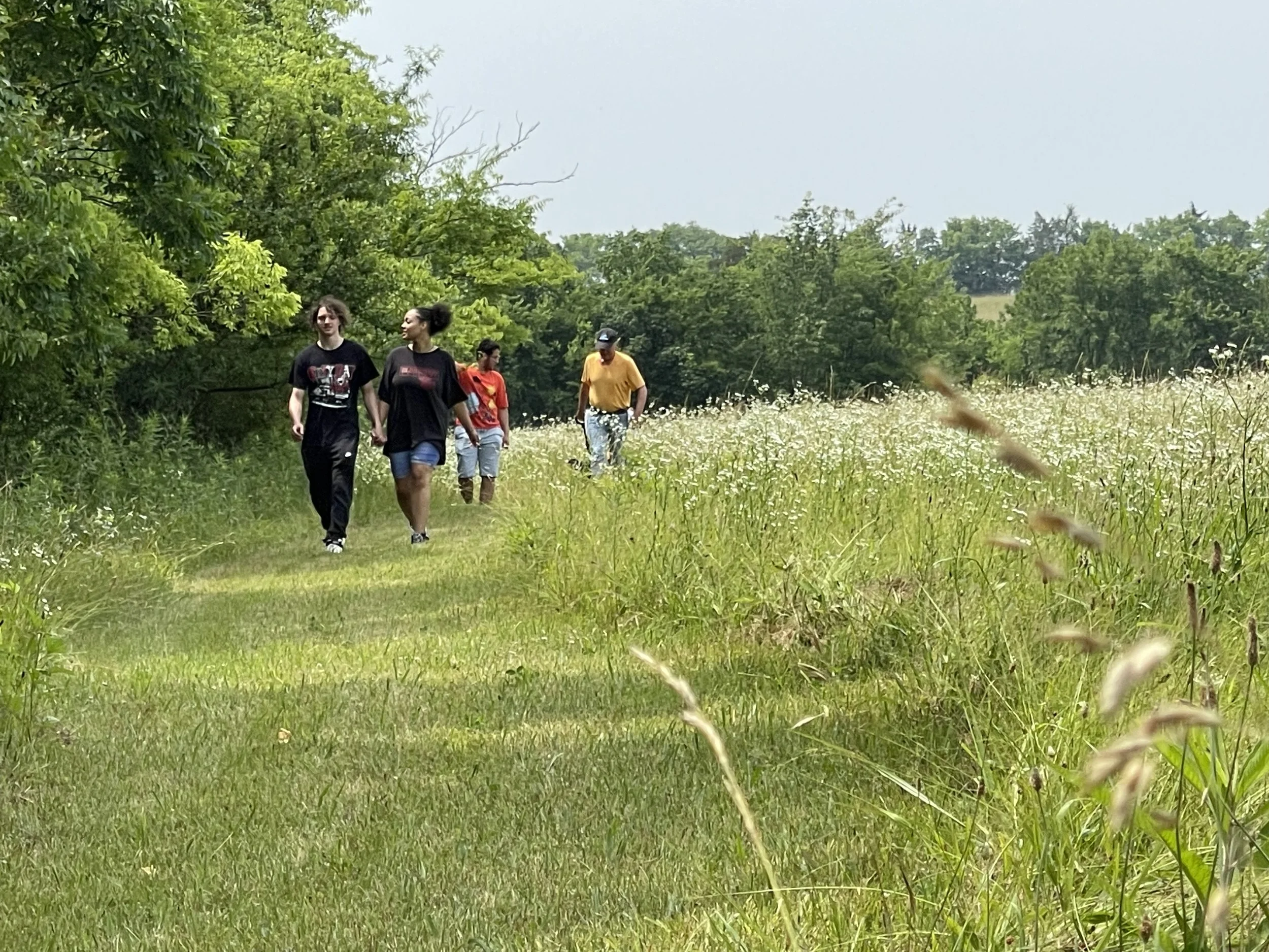 Wednesday Walk-Valentine's Day Edition