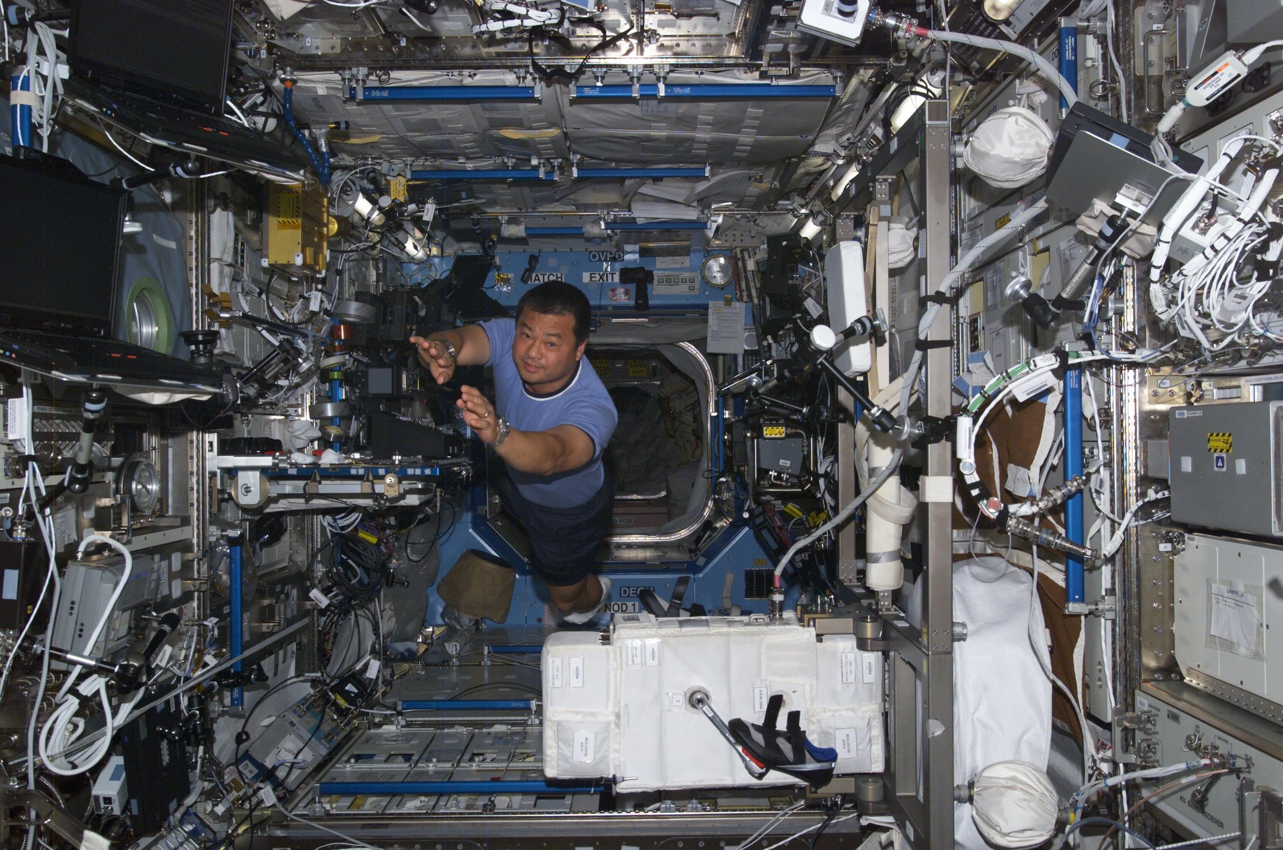 Lab 103104 c.jpg