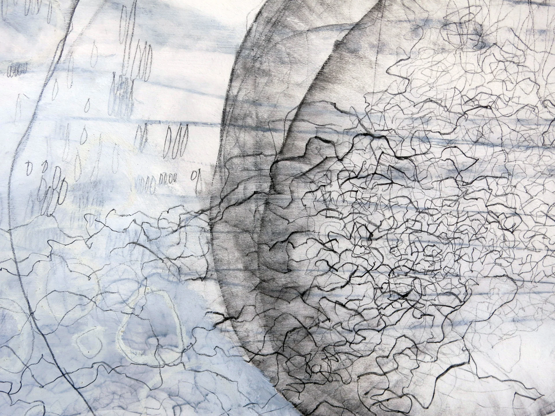 (Detail view) Subtle Entrapments