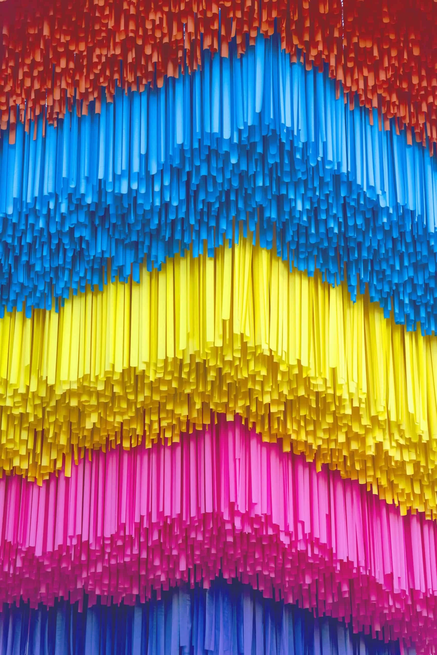 Geckler Details.jpeg