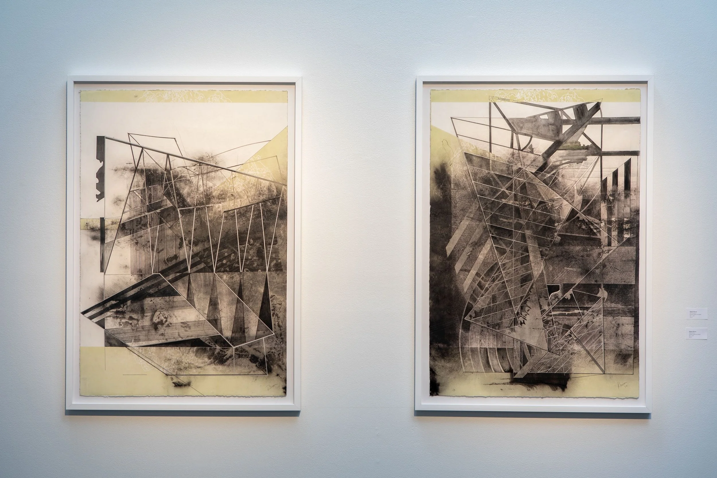 100419 Perspectives in Printmaking 08.jpg