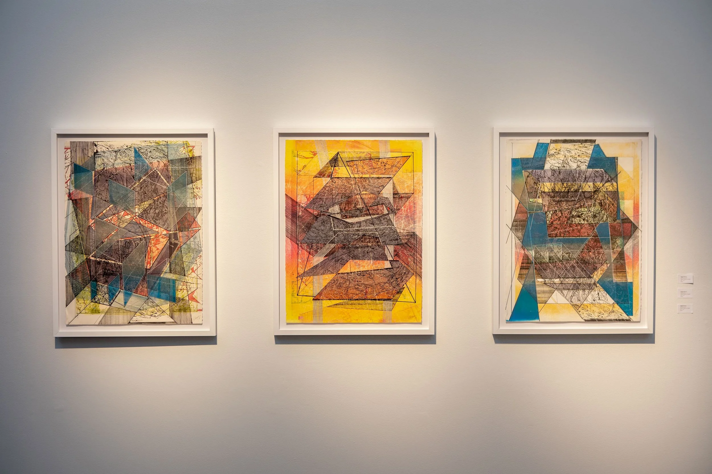 100419 Perspectives in Printmaking 12.jpg