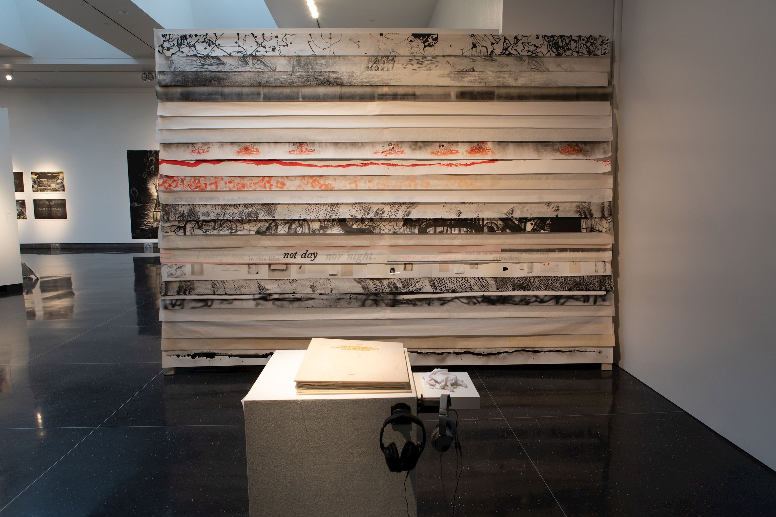 100419 Perspectives in Printmaking 14.jpg