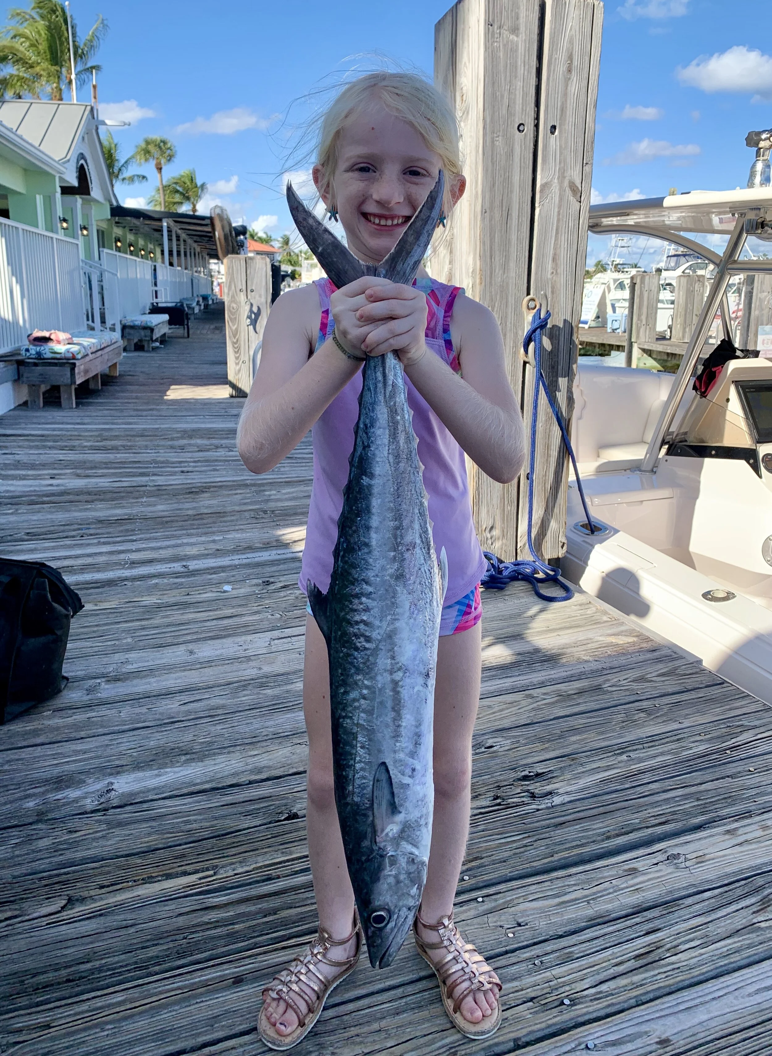 Great Kingfish Action!