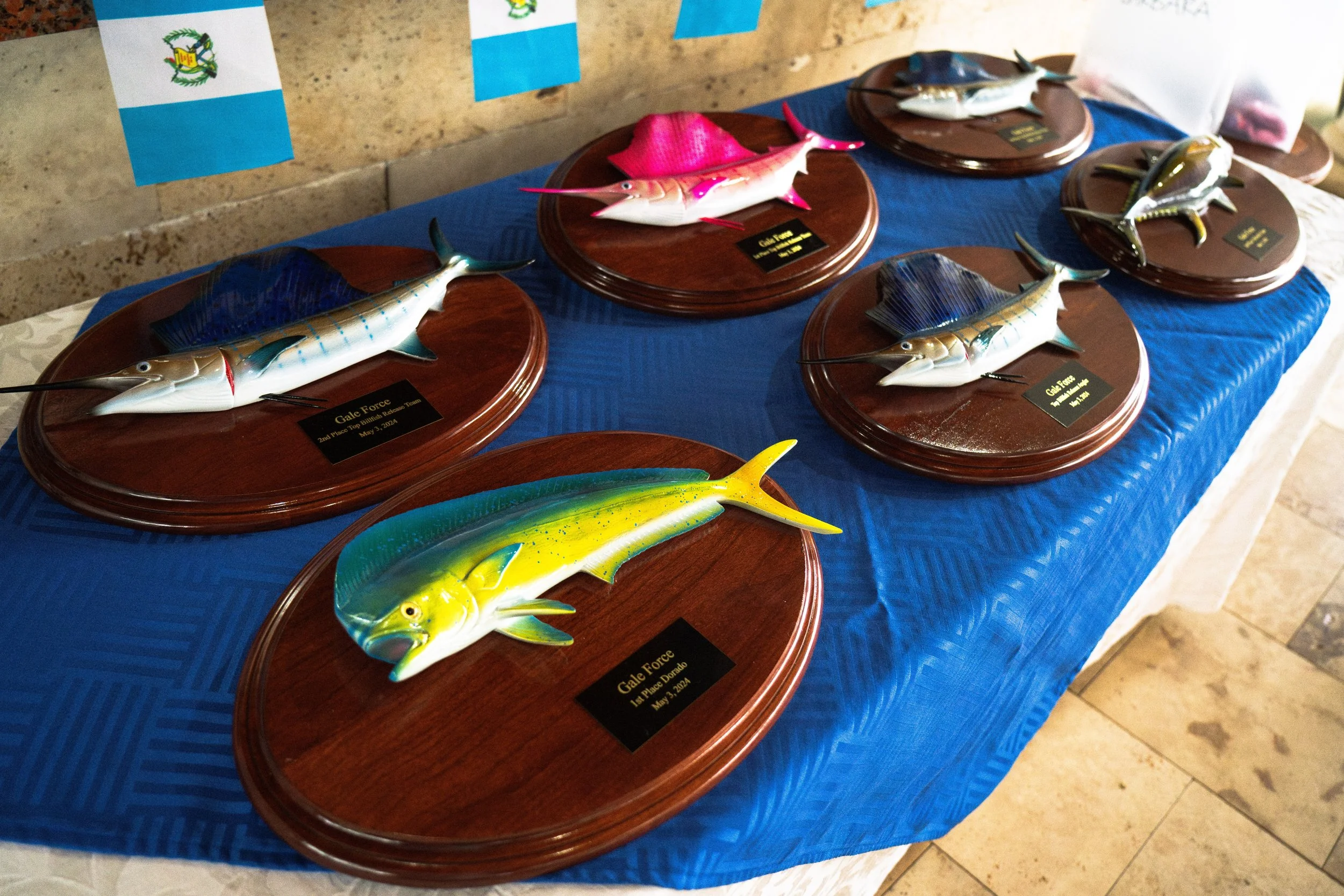 Gale Force Pacific Fins May 2024 (43 of 407).jpg